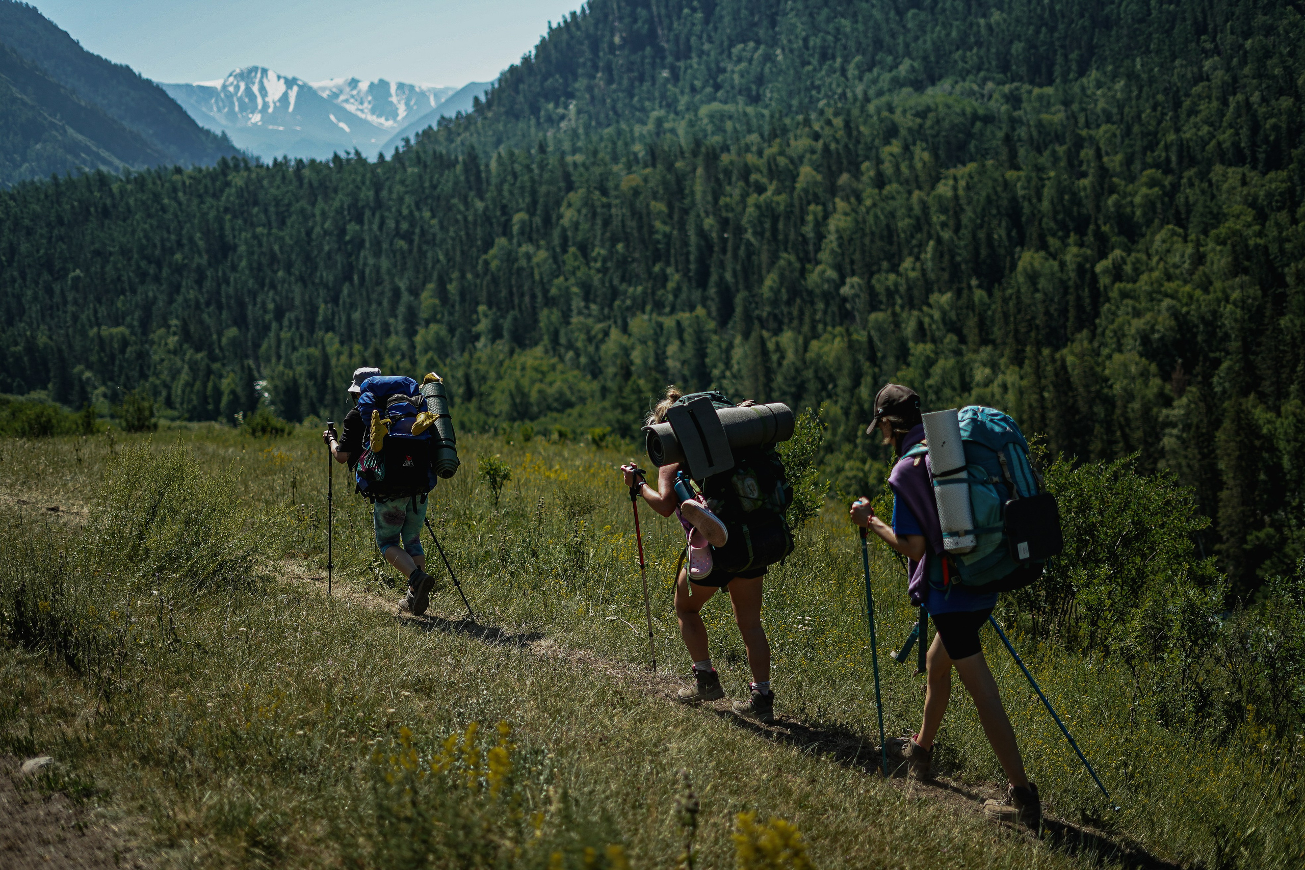 Алтай, поход к Белухе 2023. Фотограф Ольга Пучкова