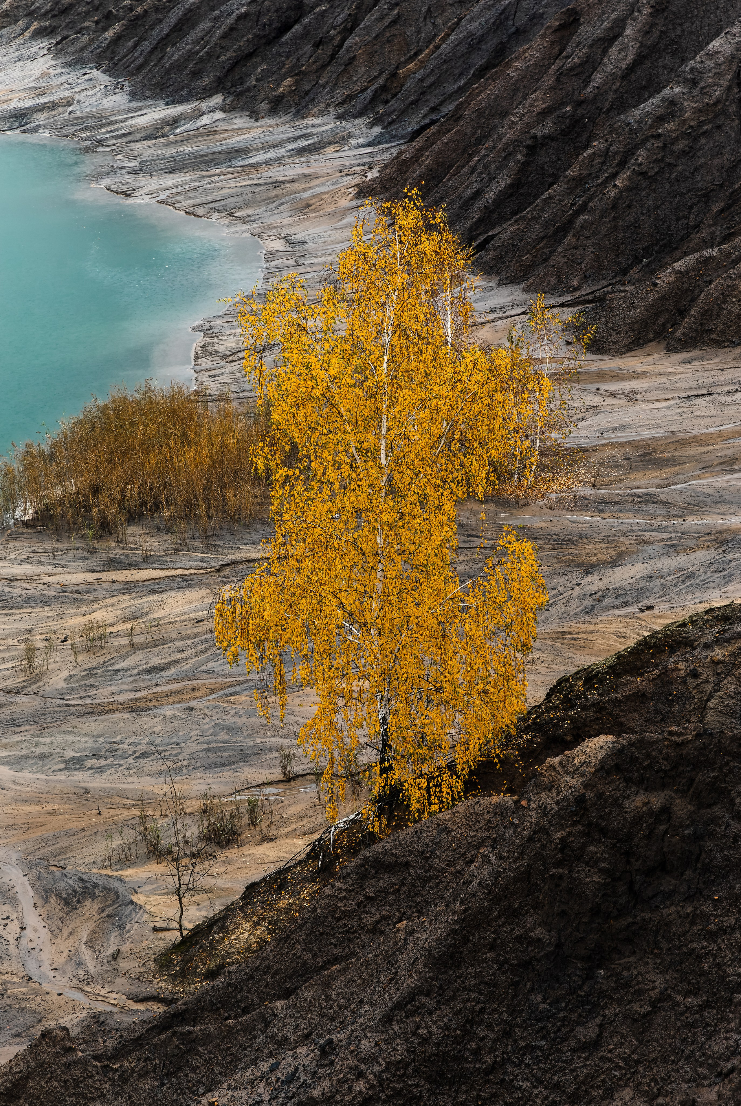 Кондуки. Октябрь 2023. Фотографии