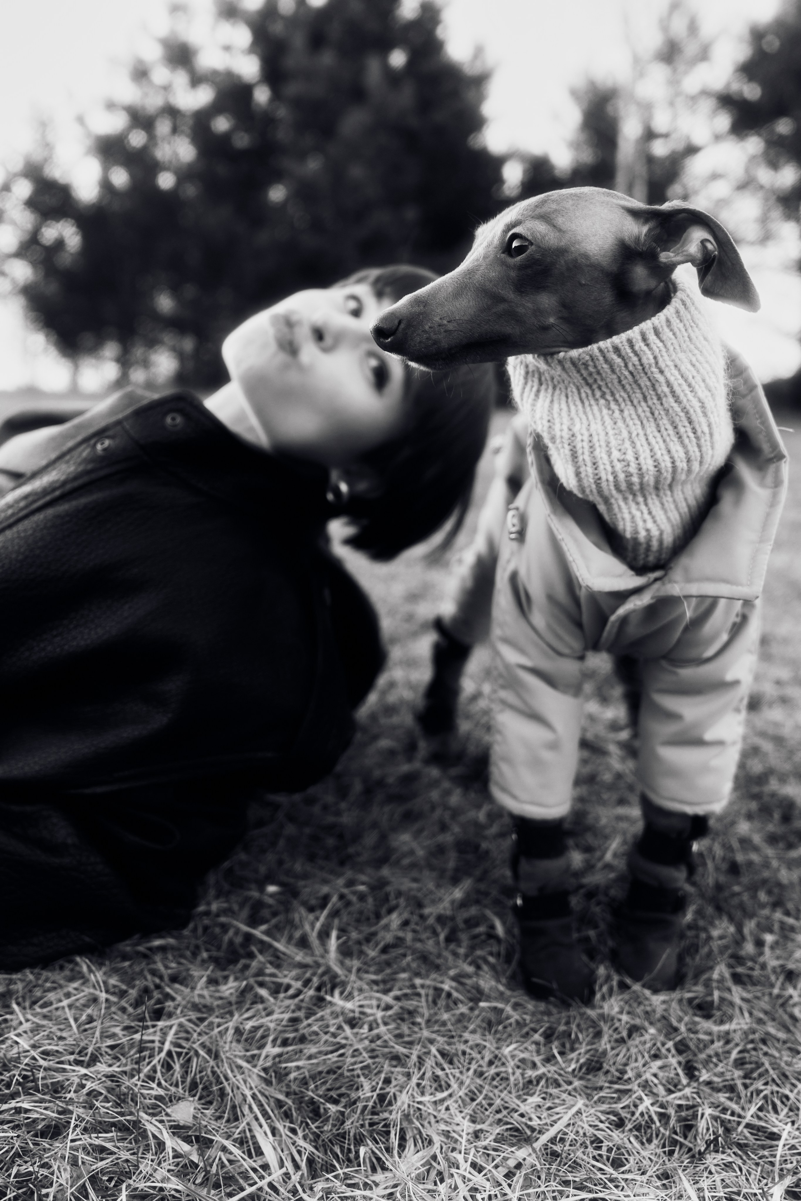 Даша и Петс!. Фотограф Москва и Екатеринбург. Максимова Соня