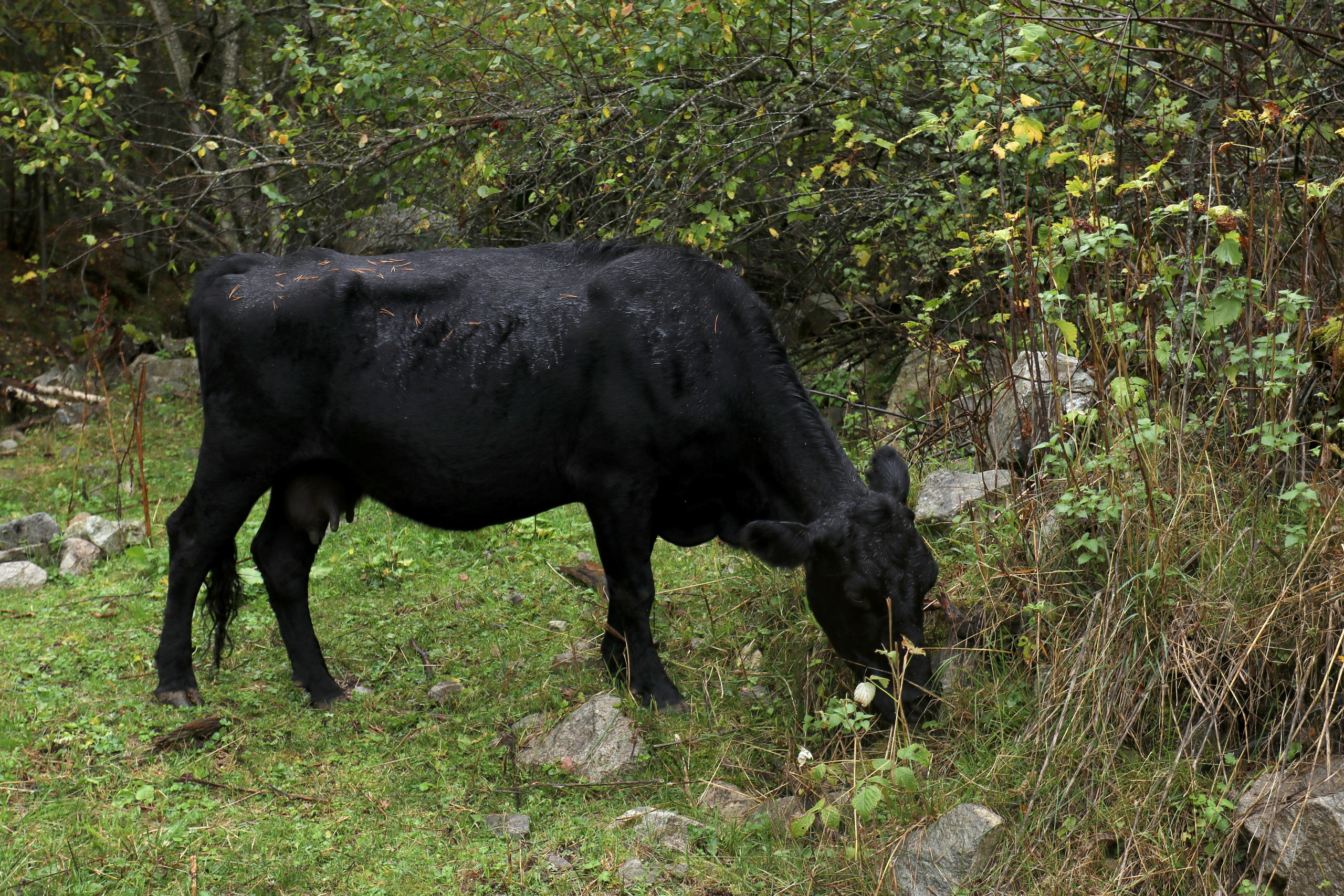 Приэльбрусье. Сентябрь 2024. Путешественник-фотограф из Санкт-Петербурга Татьяна Свистулина