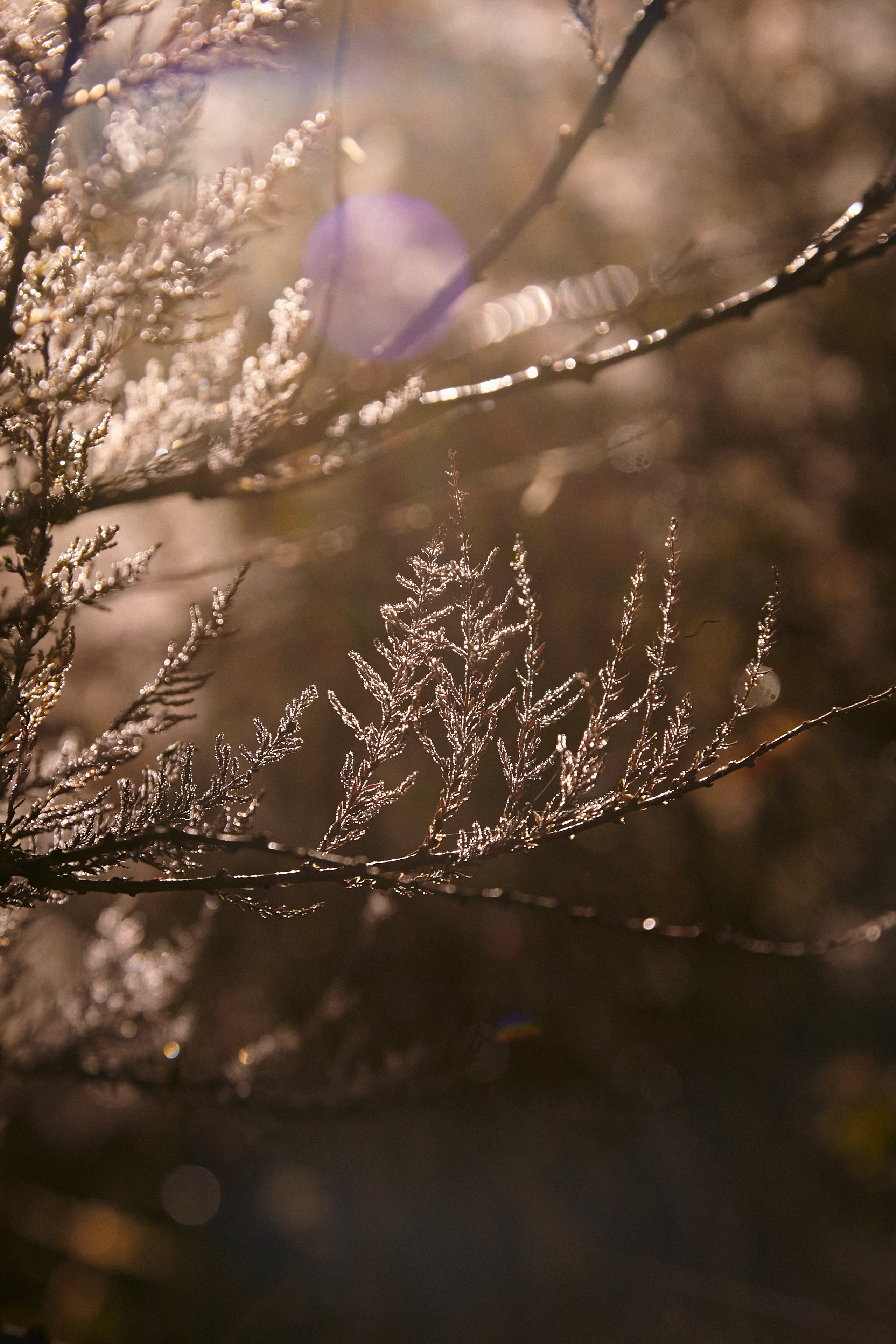 Чегем, дорога к леднику Шаурту. Фотограф Продюсер в горах КБР / Москва  Нальчик Горы