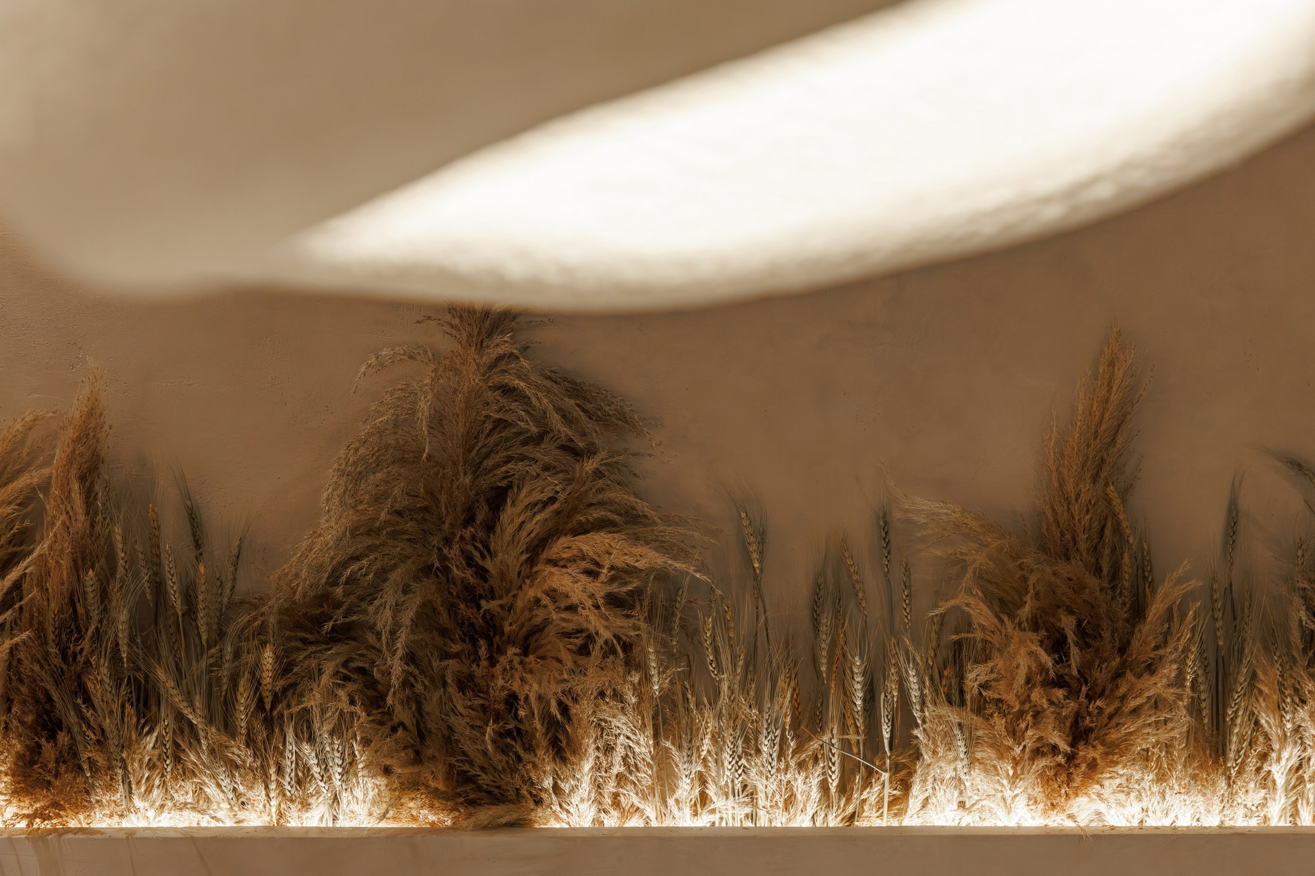 Гастропекарня Текстура. Night2Day Санкт-Петербург