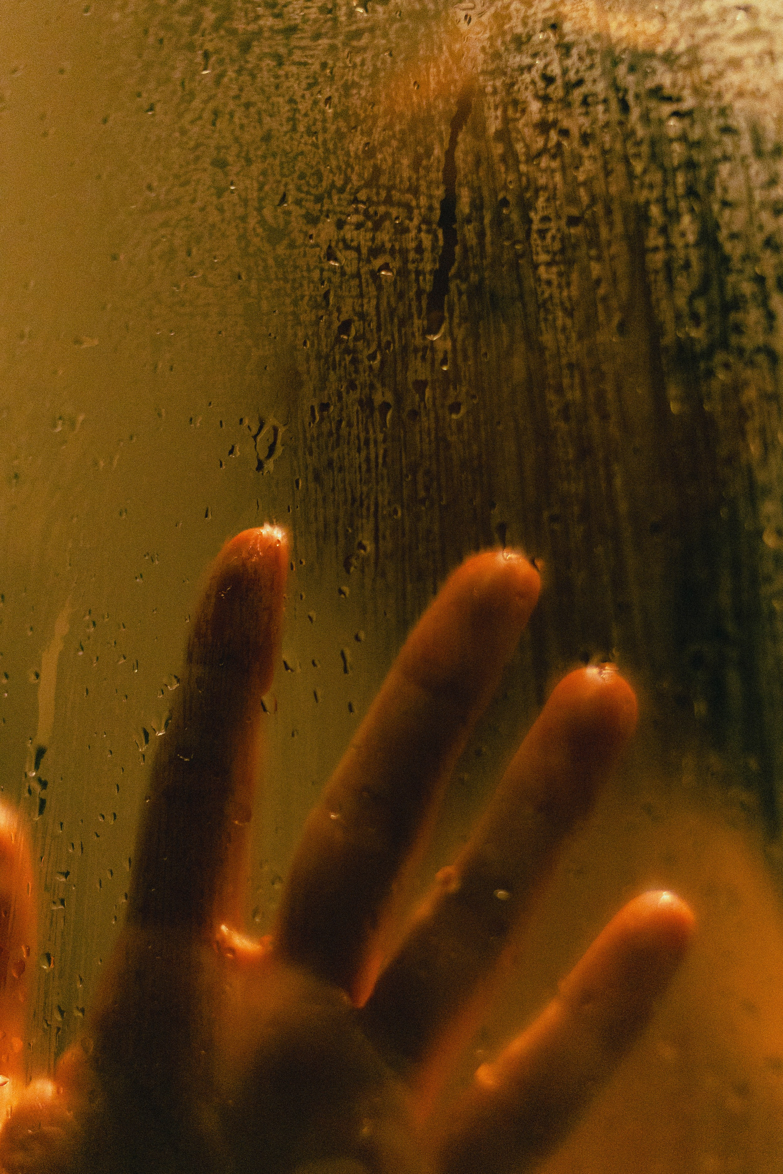 Рита. Фотограф Блинова Арина | Санк-Петербург