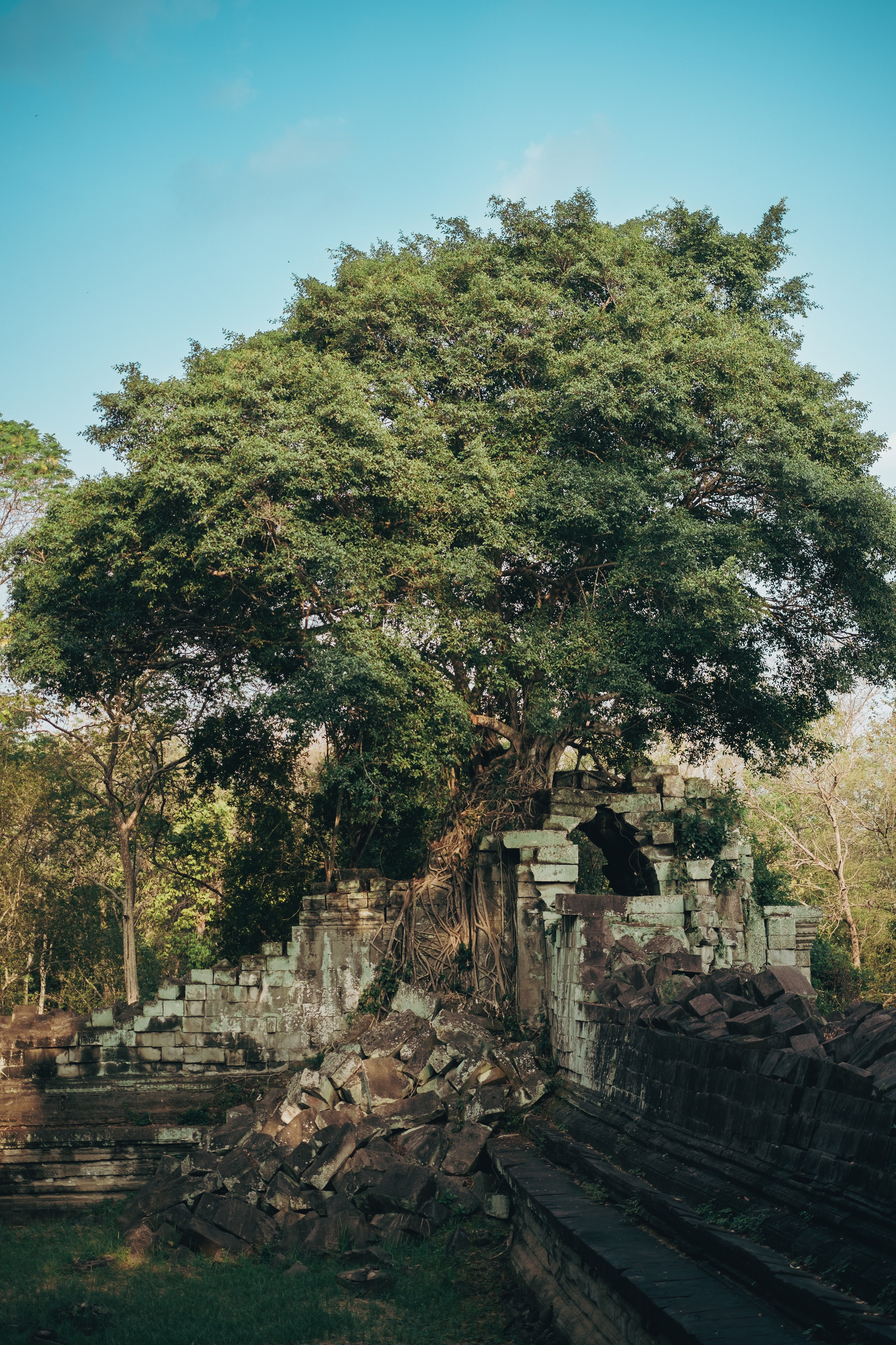 Cambodia. Dmitry Ippolitov