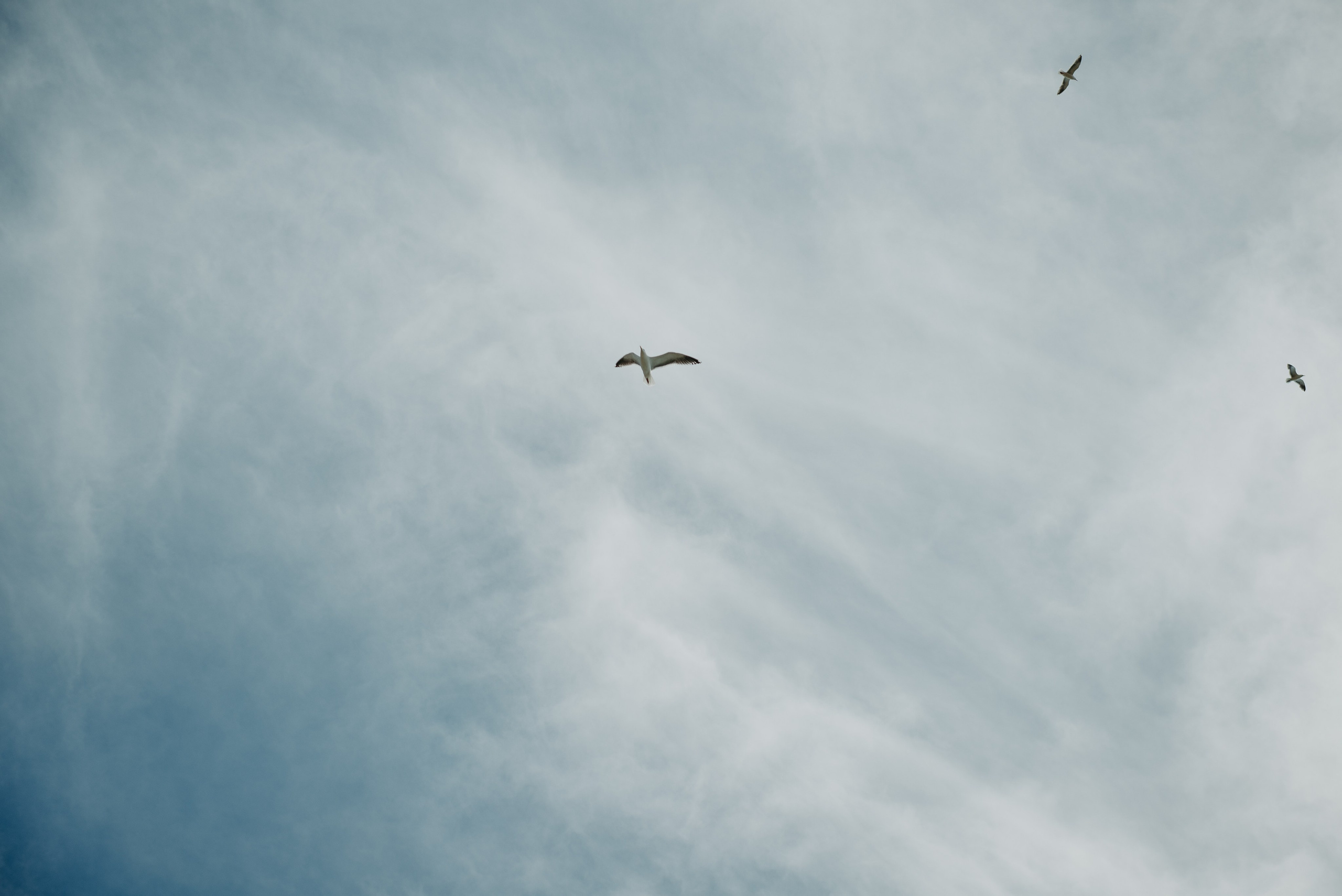 Карина. Ирина Метелица фотограф на Шикотане