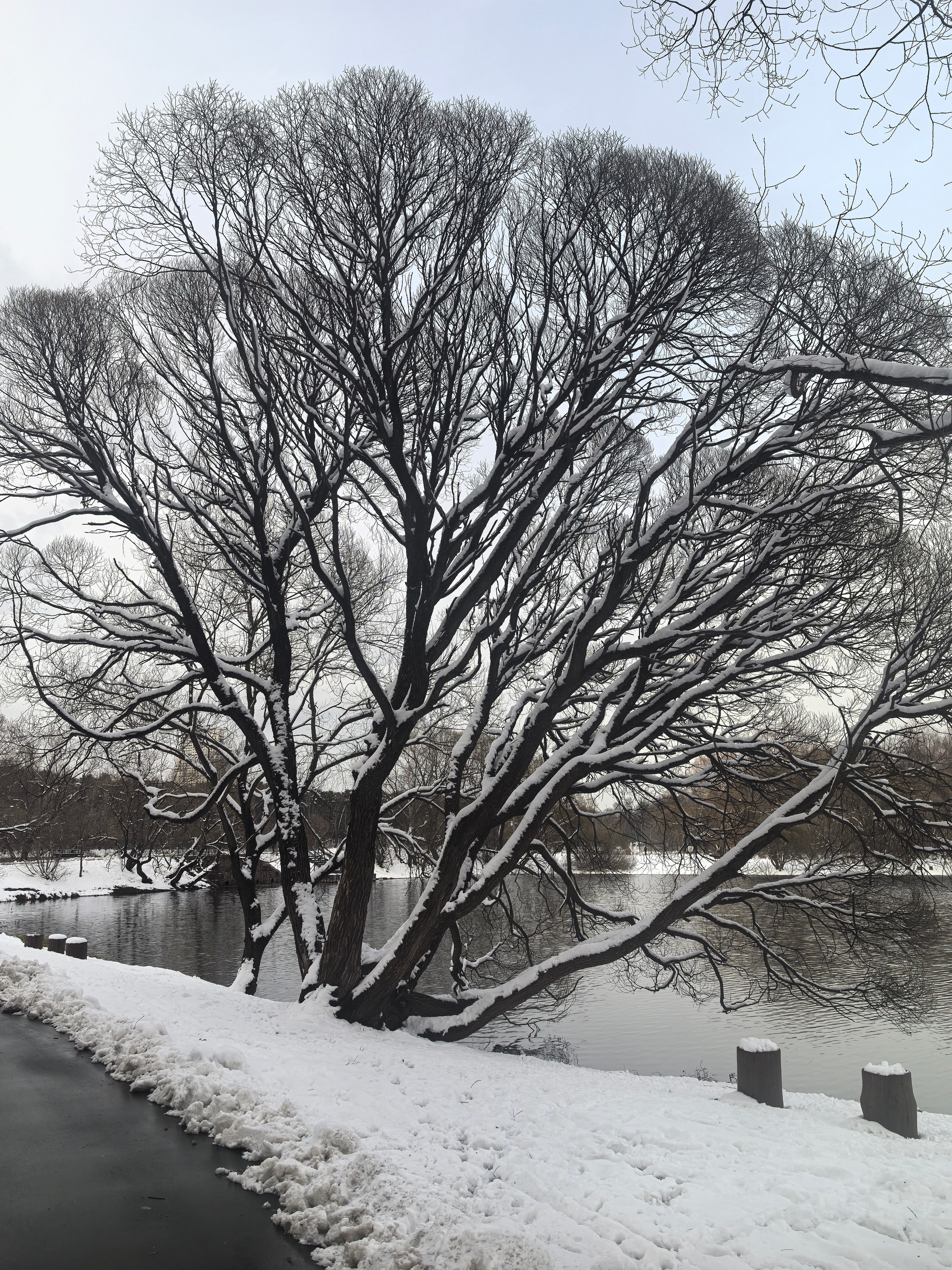 Покровско-Стрешнево. Школьные выпускные альбомы в Москве Марина Николаева