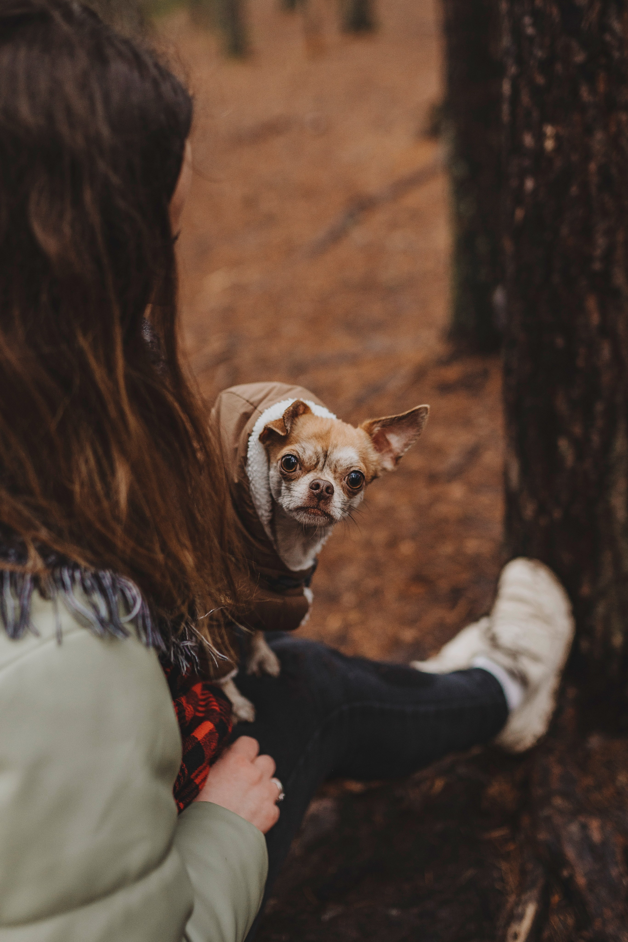 Наталия и Боря. Фотограф анималист в Спб недорого Олеся Майорова