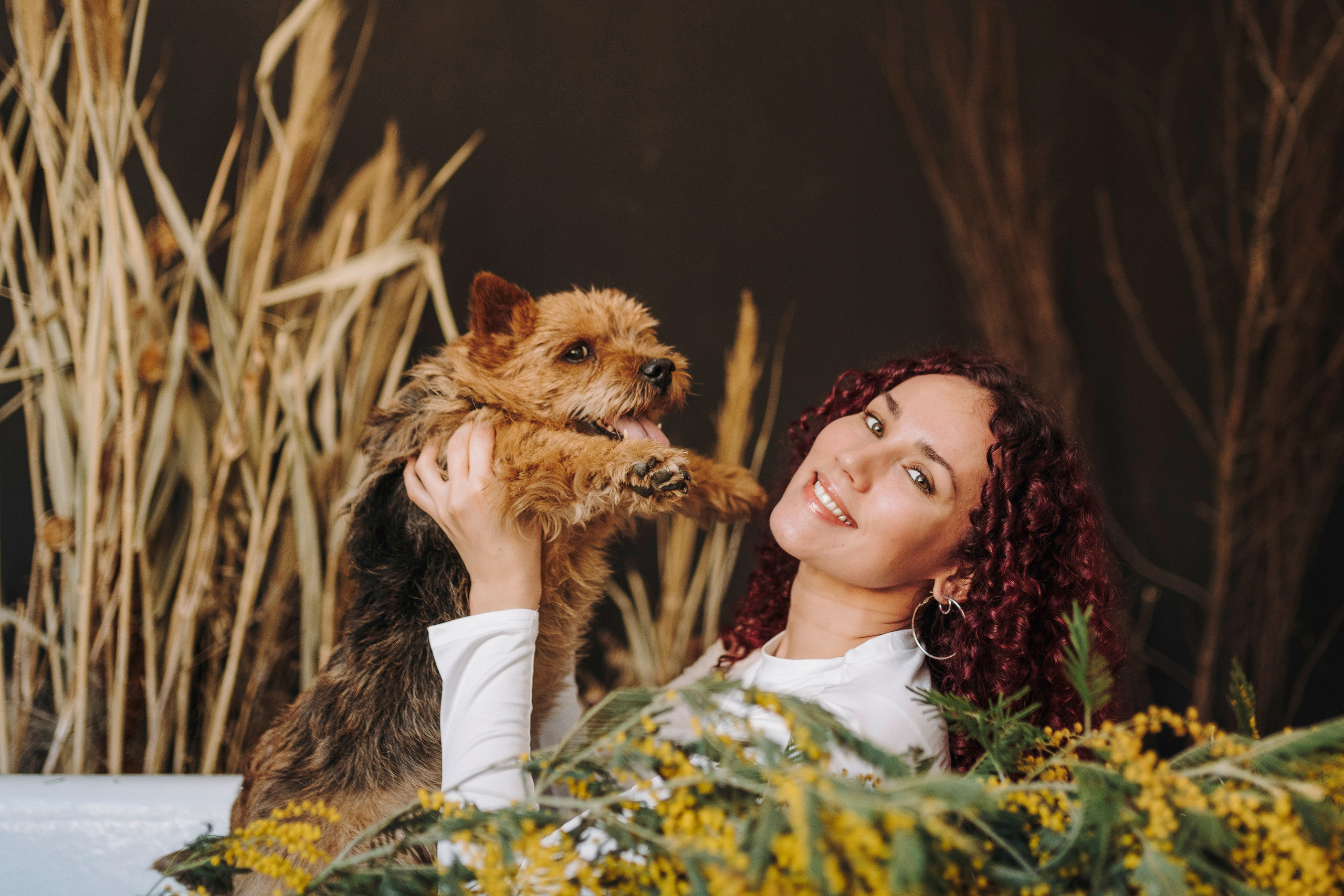 Маша и Рамси. Фотограф анималист в Спб недорого Олеся Майорова