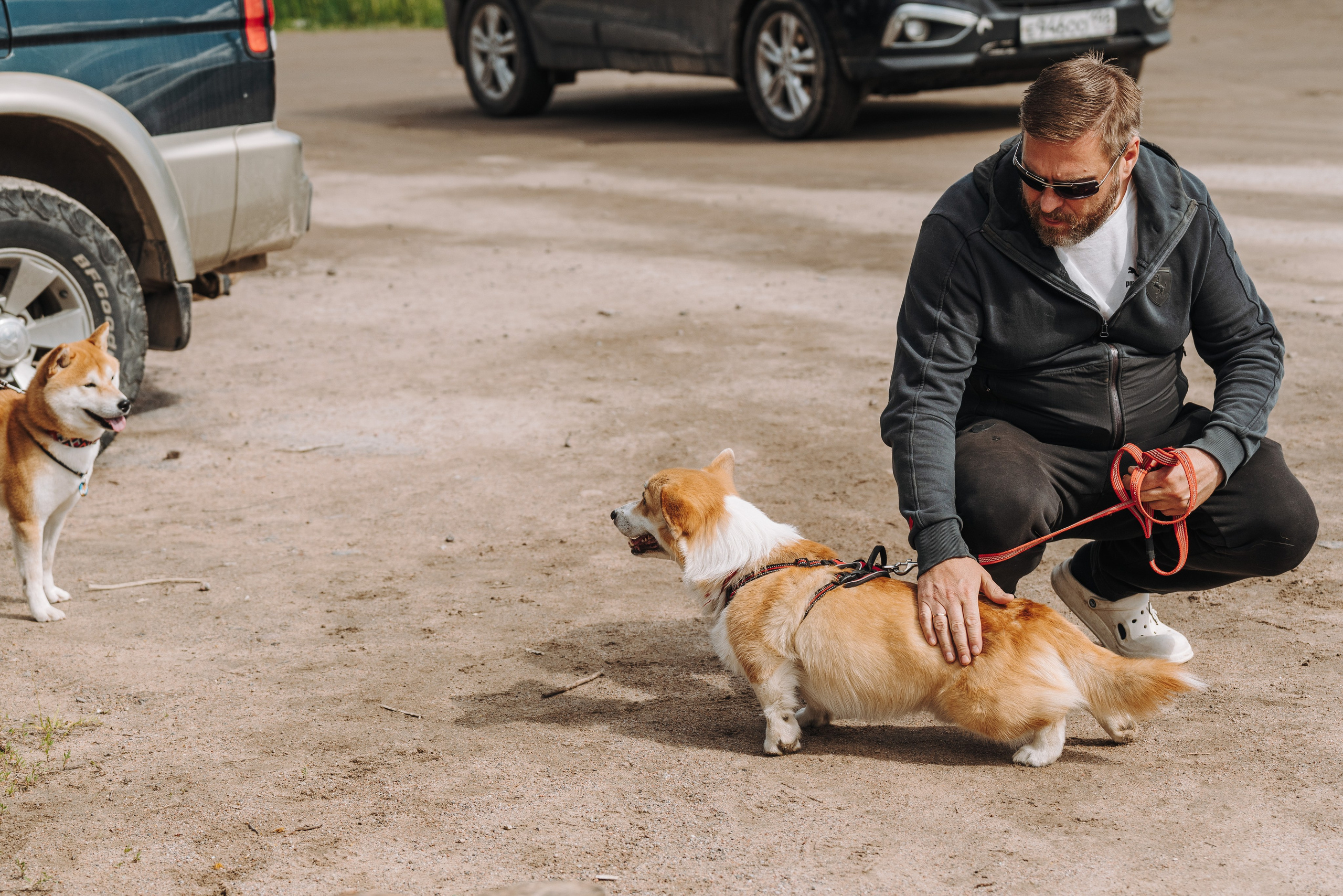 Соревнования по ноузворку. Фотограф анималист в Спб недорого Олеся Майорова