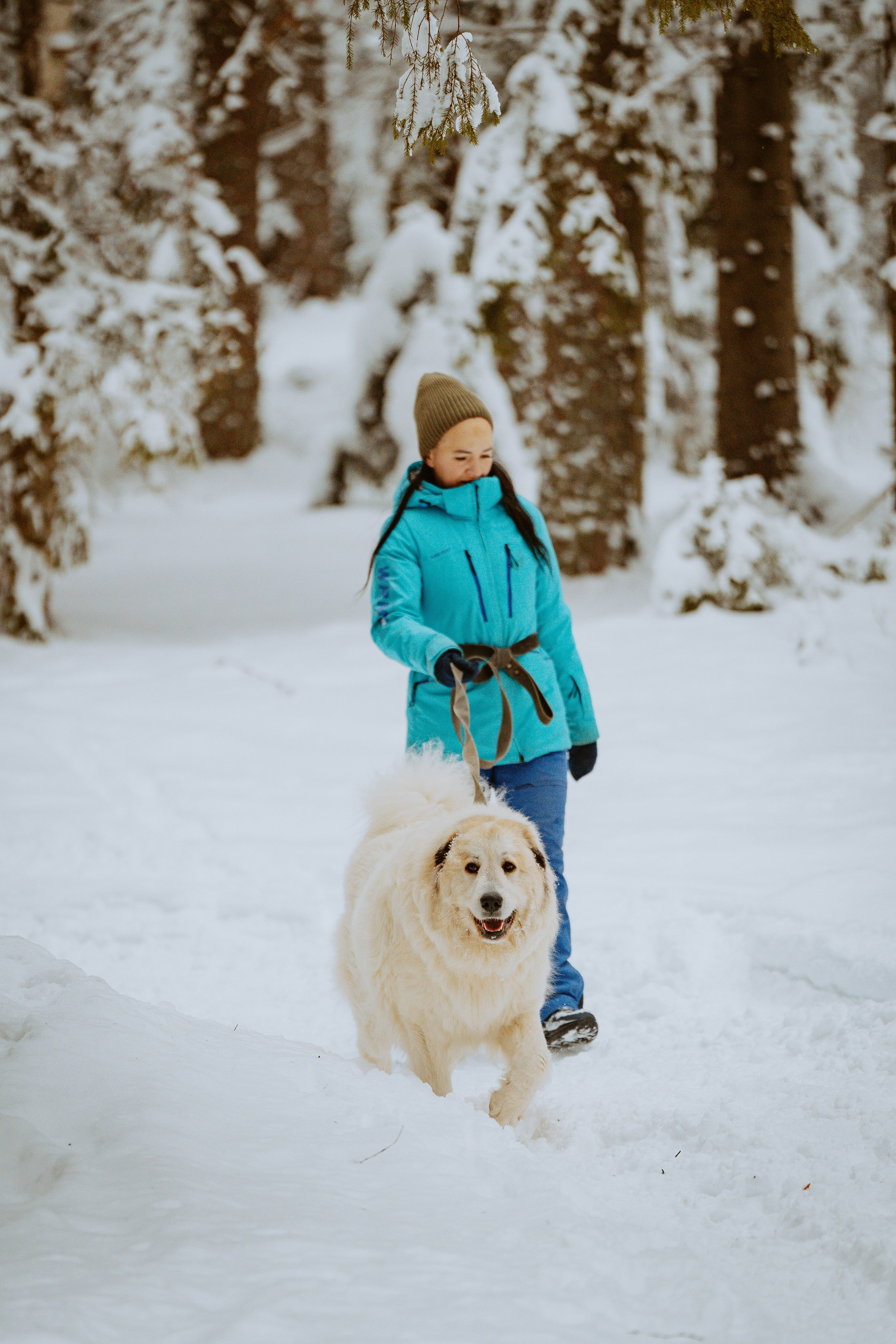 Дог трекинг. Фотограф анималист в Спб недорого Олеся Майорова