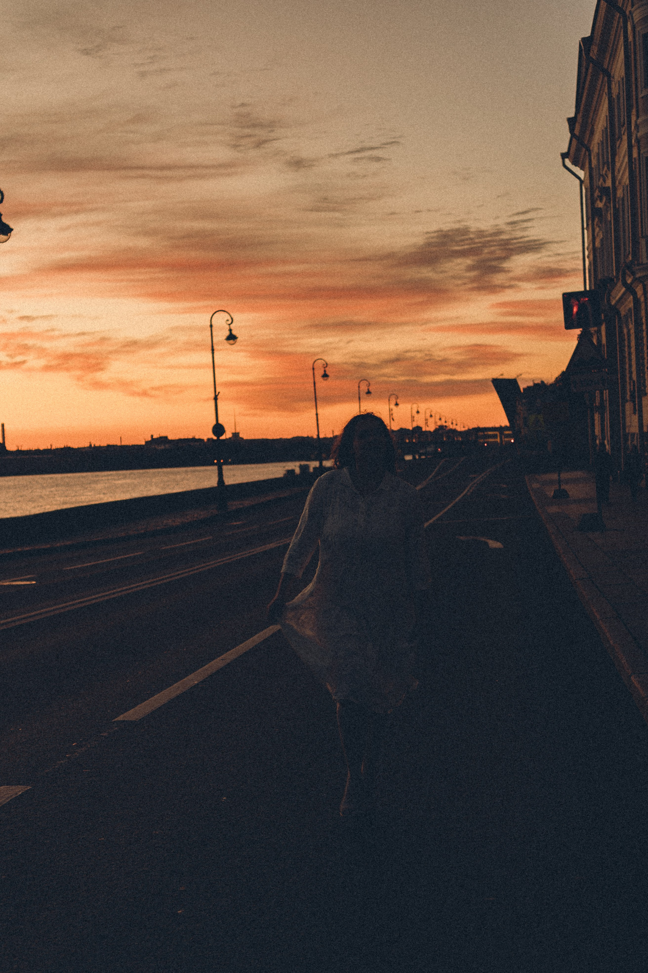 РАССВЕТ С РАЗВОДНЫМИ МОСТАМИ. Профессиональный фотограф, Санкт-Петербург — Виктория Богомолова