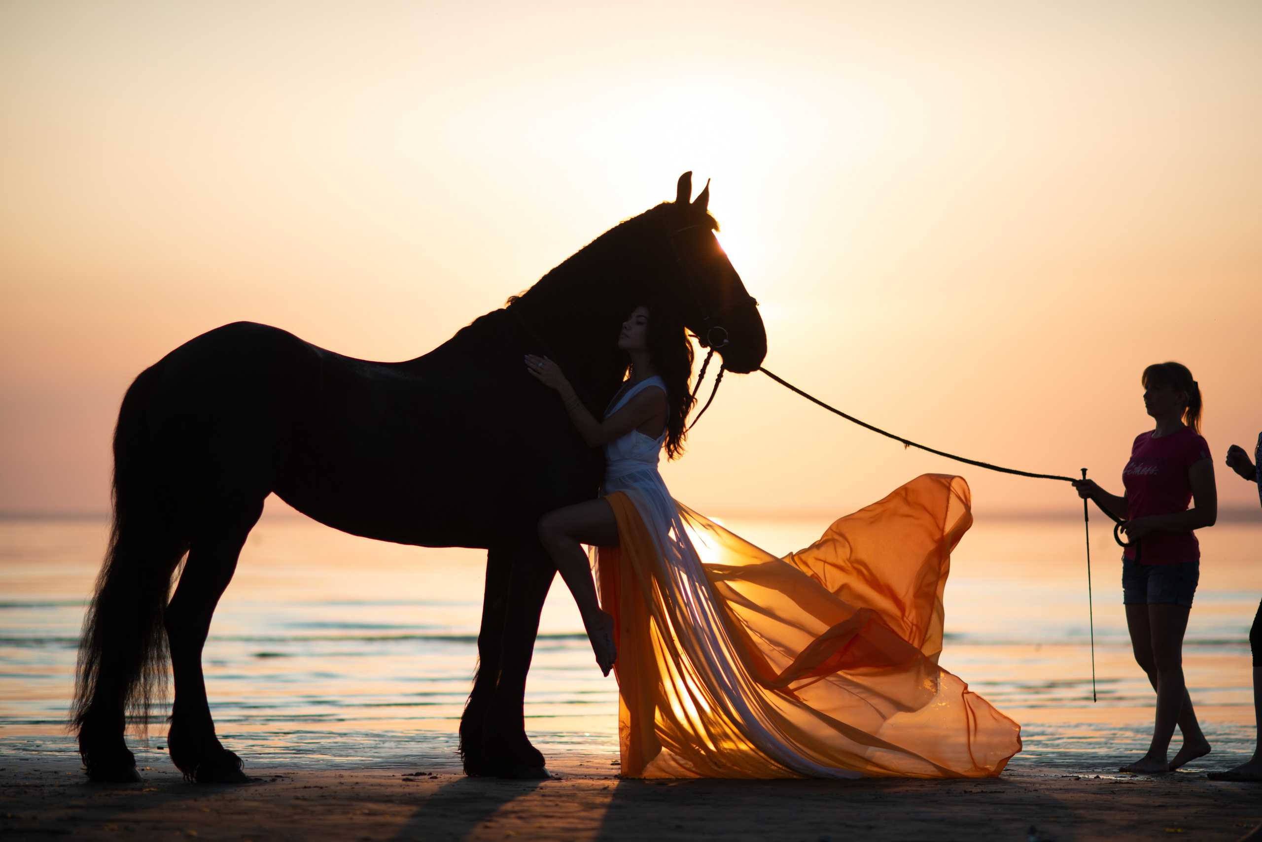 Обучение у DixiLarina. Конный фотограф в Красноярске — Любовь Похабова