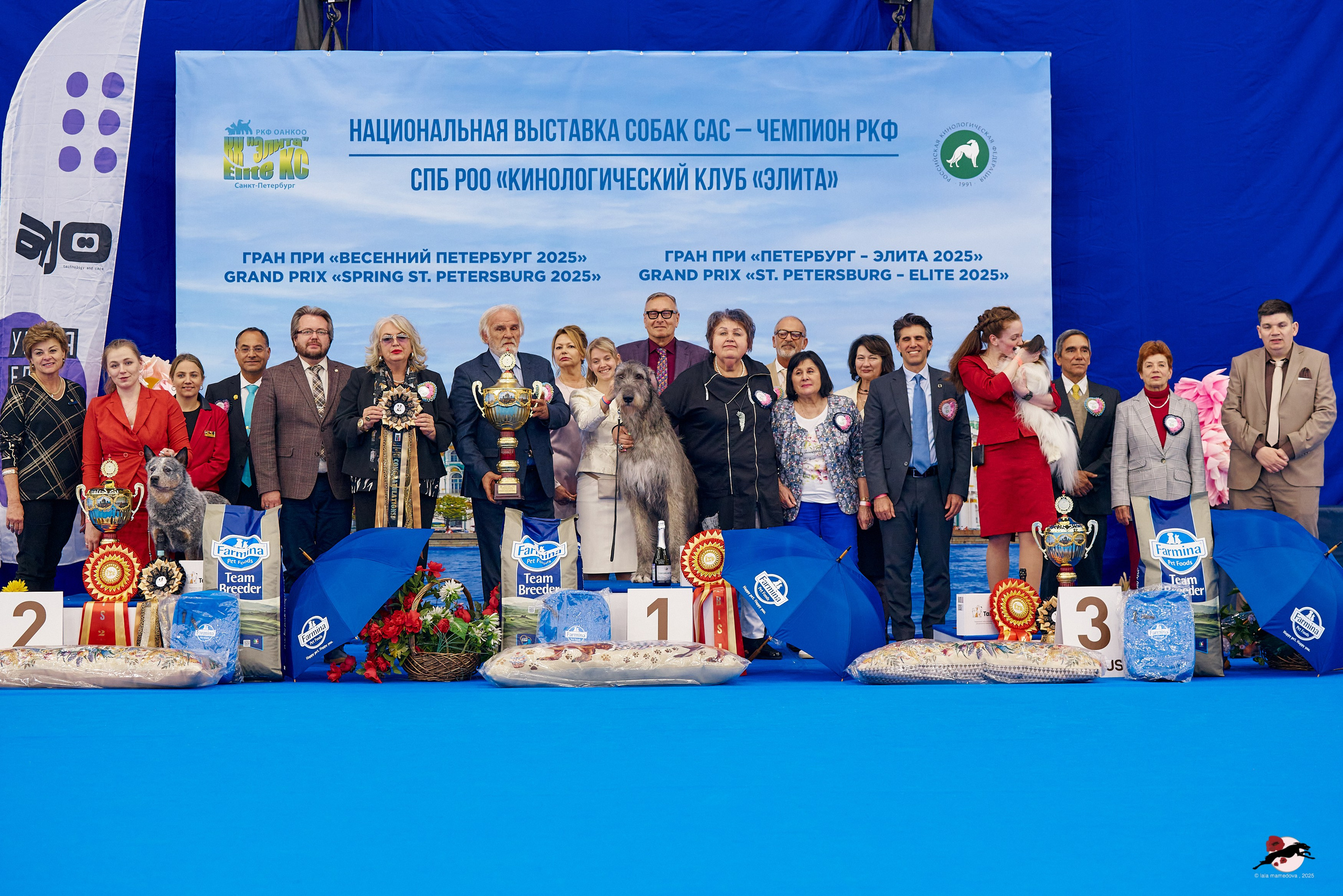 27.04.2025 | "Петербург-Элита 2025" & «КУБОК «ЭЛИТЫ»-2025»