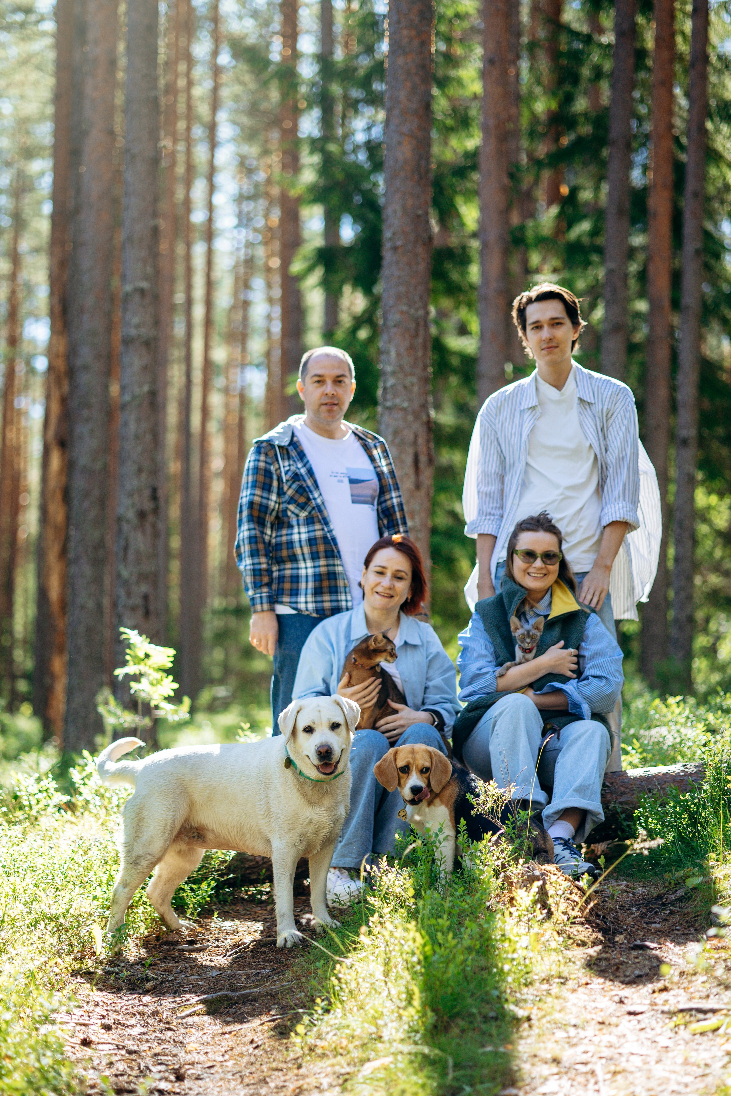 Котофеи и их семья. Фотограф — Анималист | Санкт-Петербург