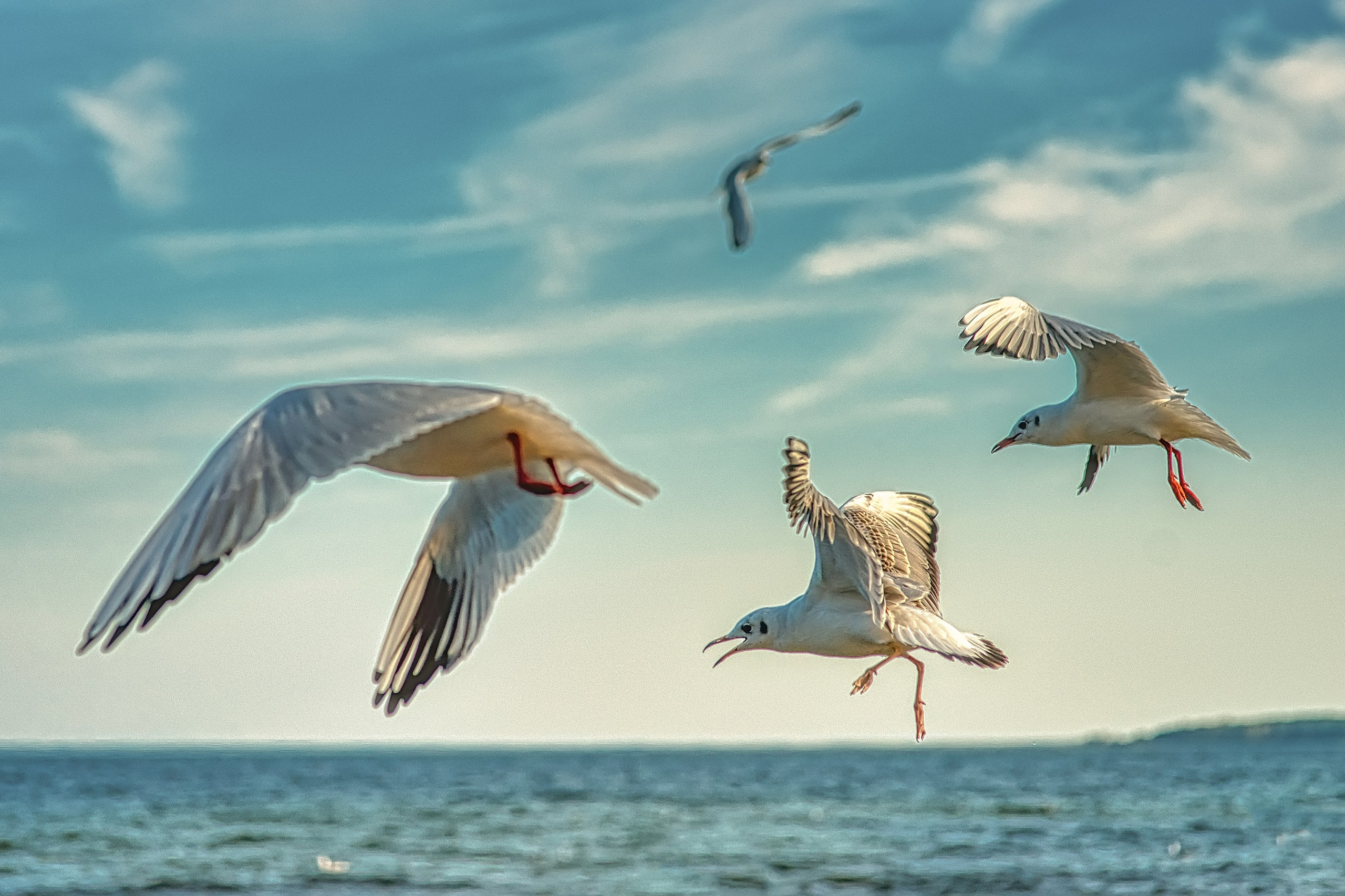 На озере Нарочь. Белоруссия