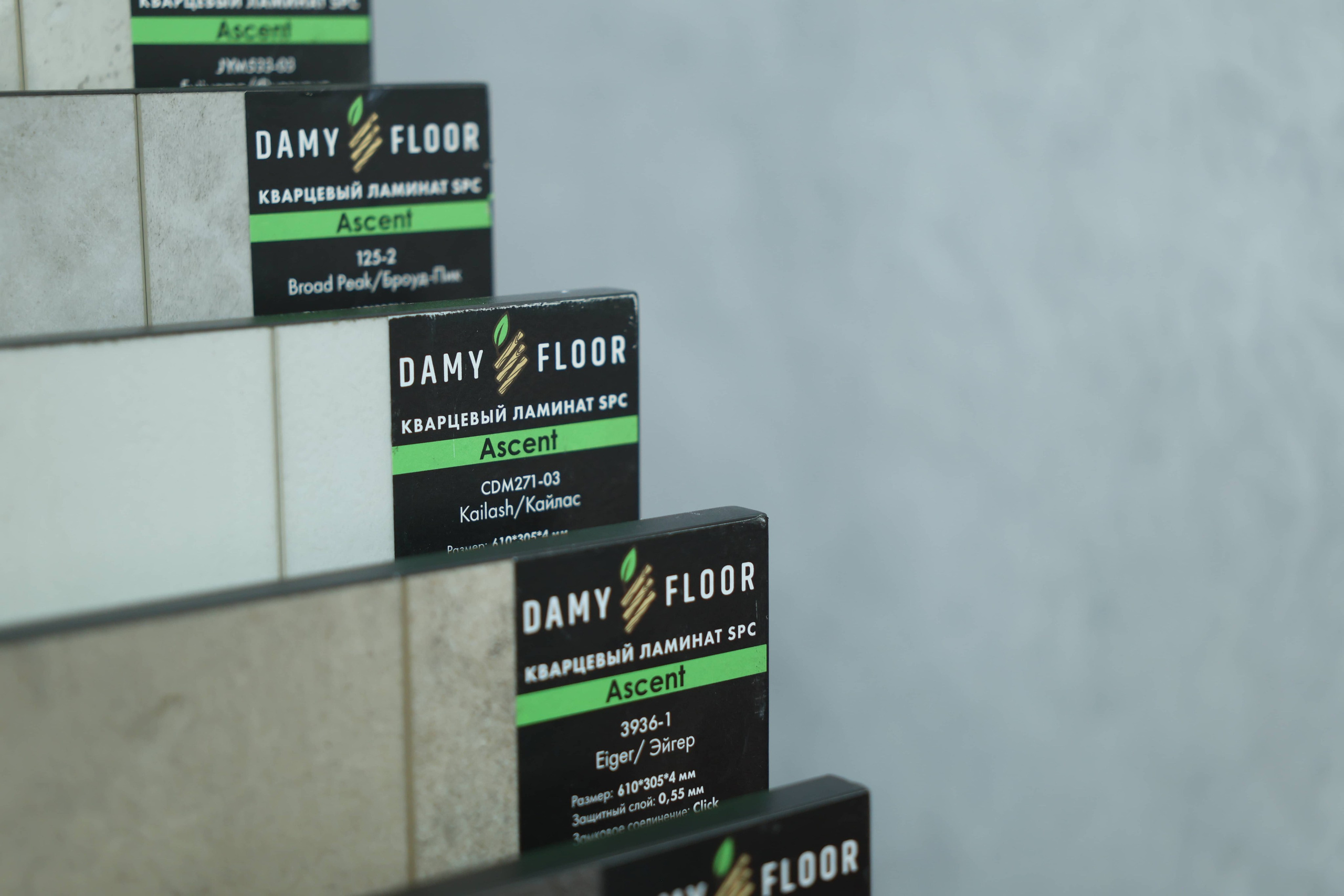 Damy Floor