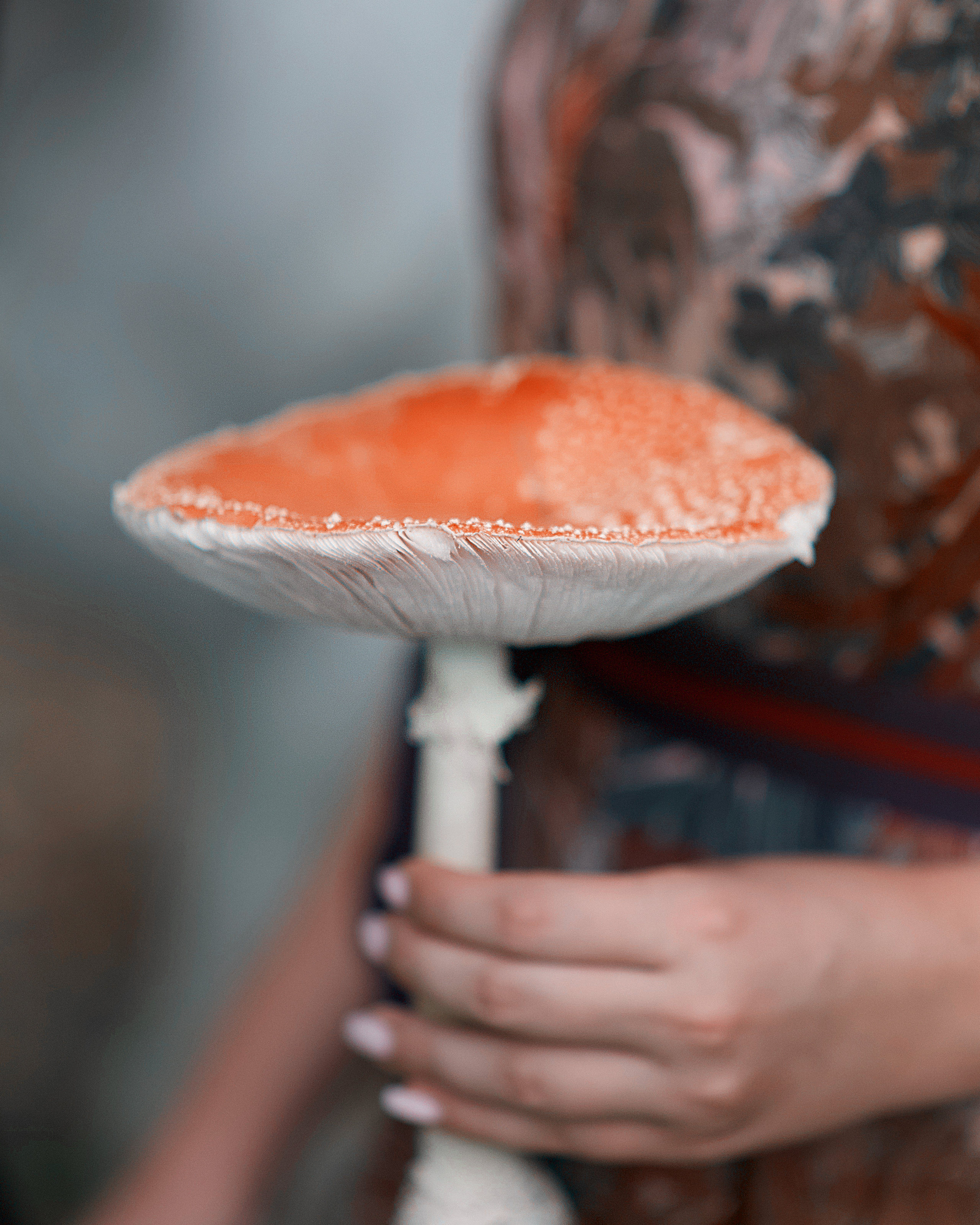 Лесная Фея. Портретный фотограф в Казани Татьяна Домарад