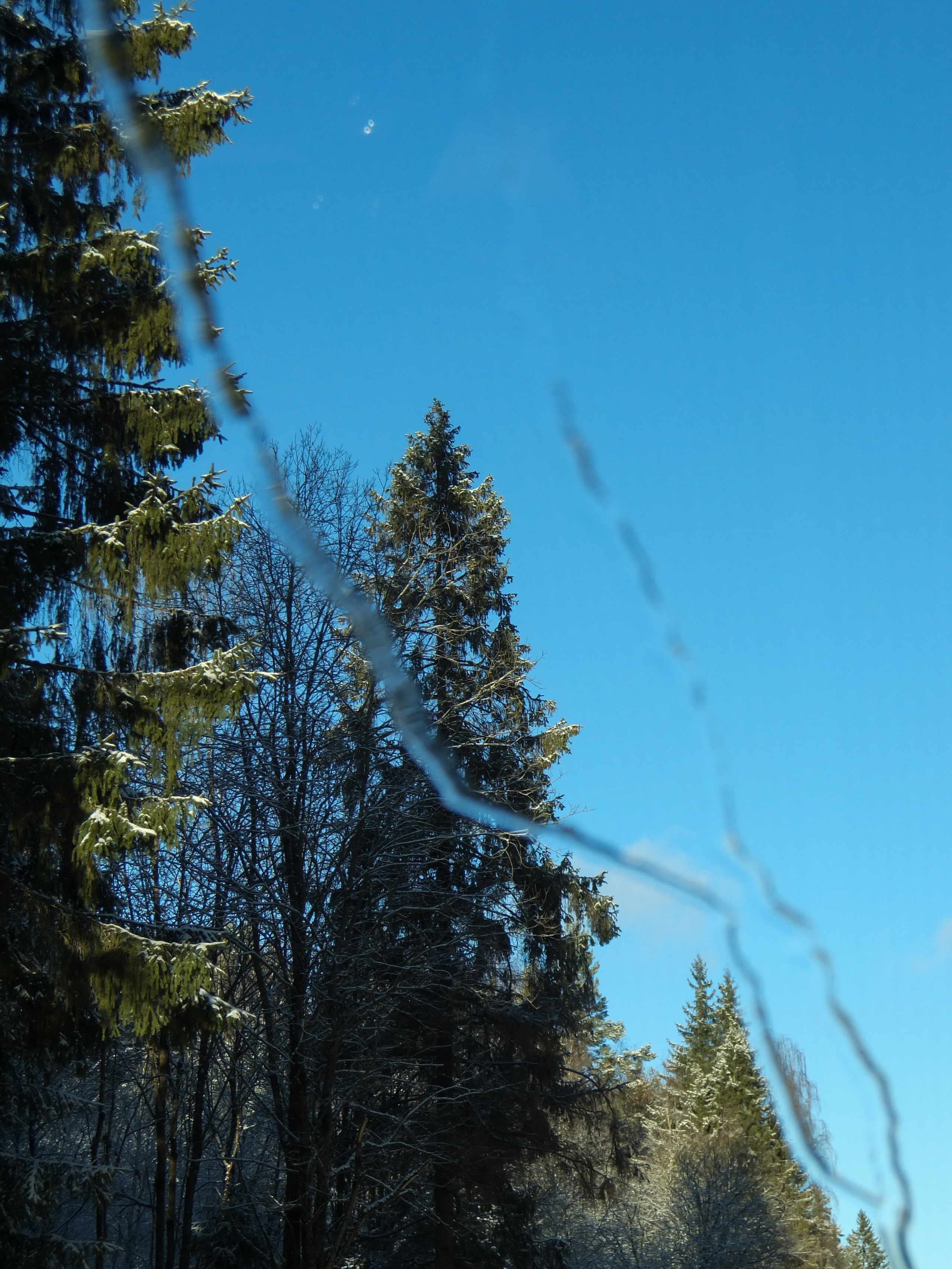 Солнечный день Нового Года. Фотограф-документалист Мария Осокина