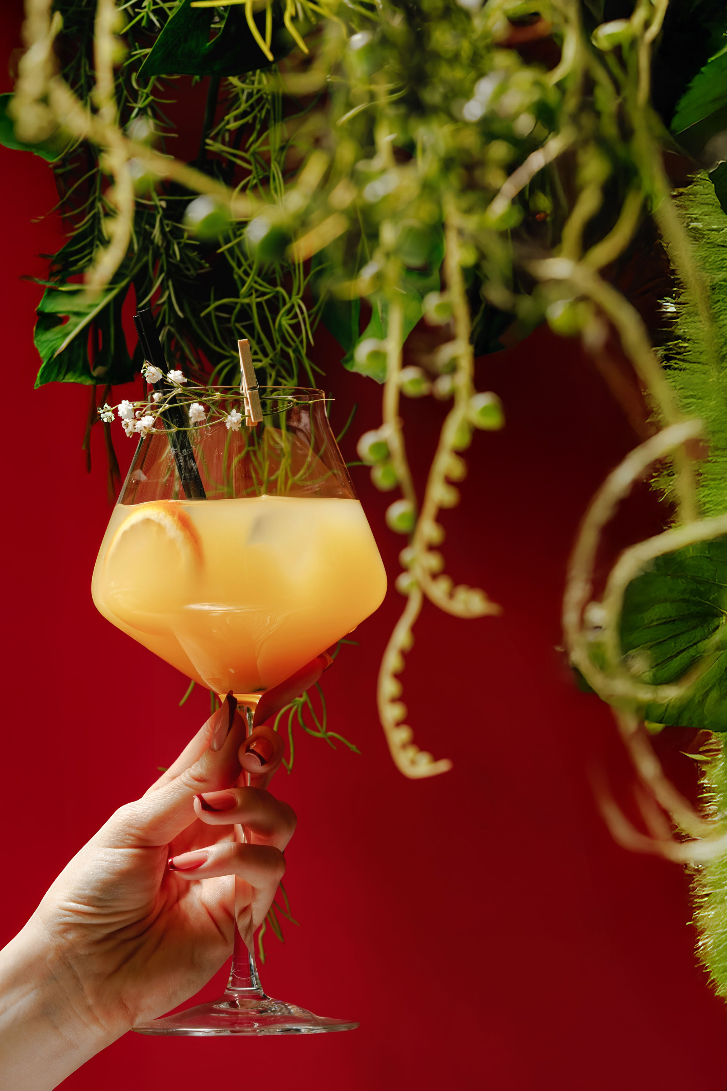 Avenu 55. Репортажный фотограф в Санкт-Петербурге Жолудев Владислав