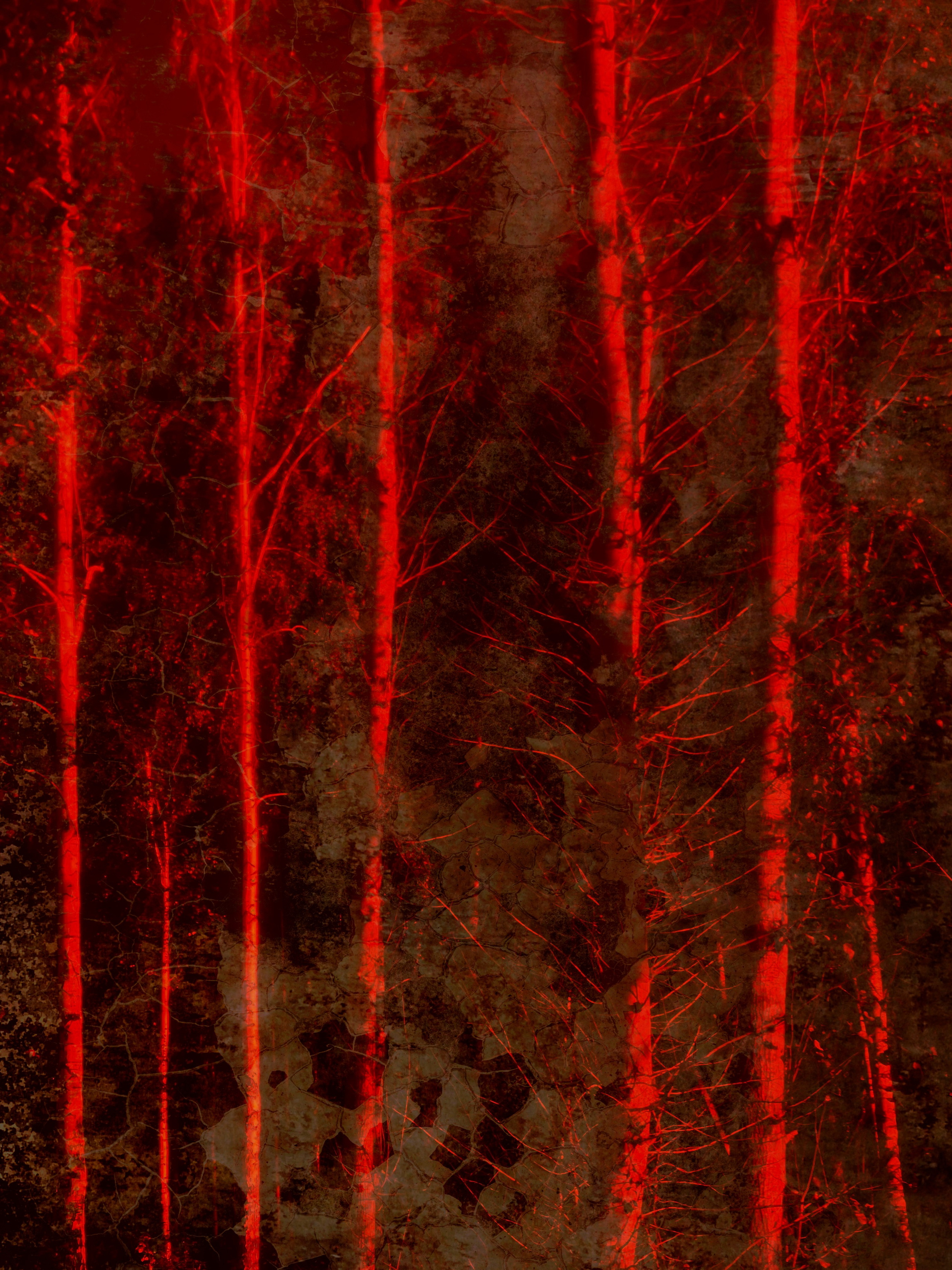 DISTURBING BEAUTY. Evgeniia Mikheeva — International visual artist