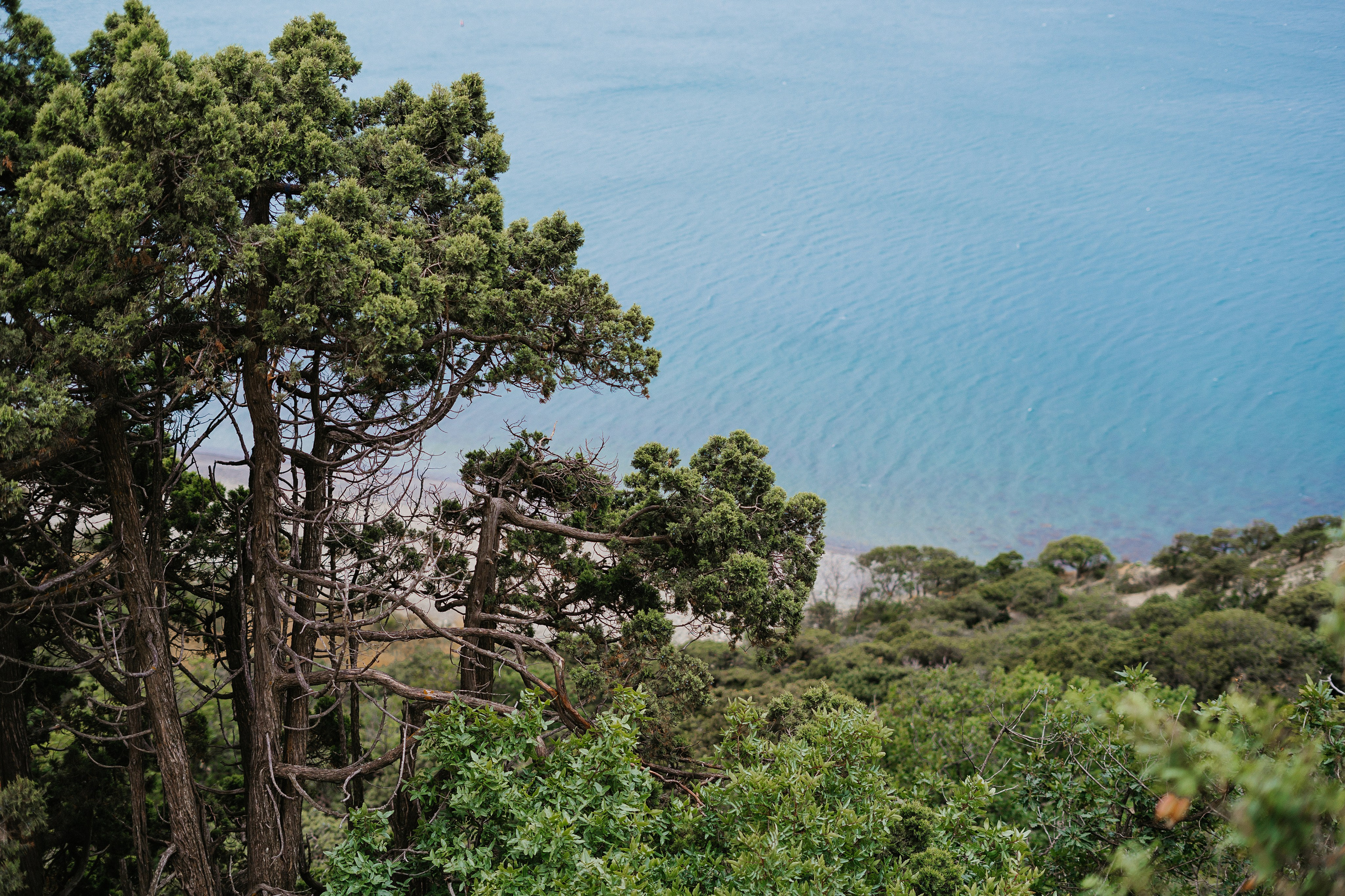 Море. Свадебный и семейный фотограф/видеограф в Краснодаре Наталья Осинская