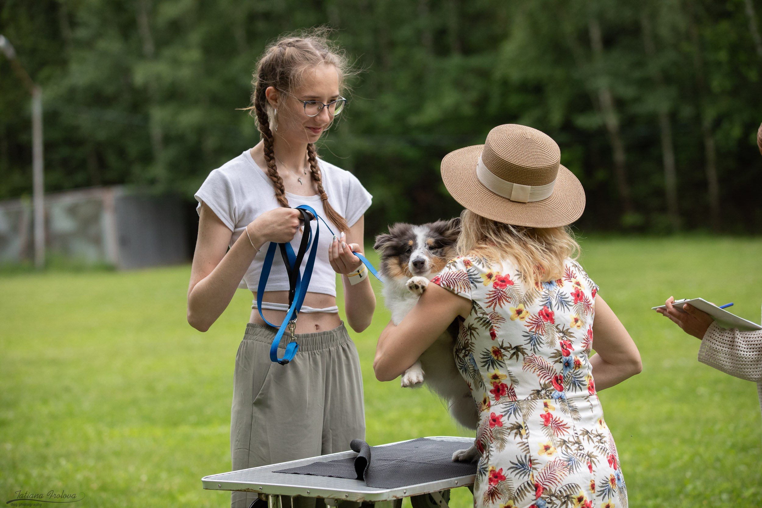 Репортаж с выводки молодняка колли/шелти в Ясенево. Фотограф-анималист в Москве и Московской области Татьяна Фролова