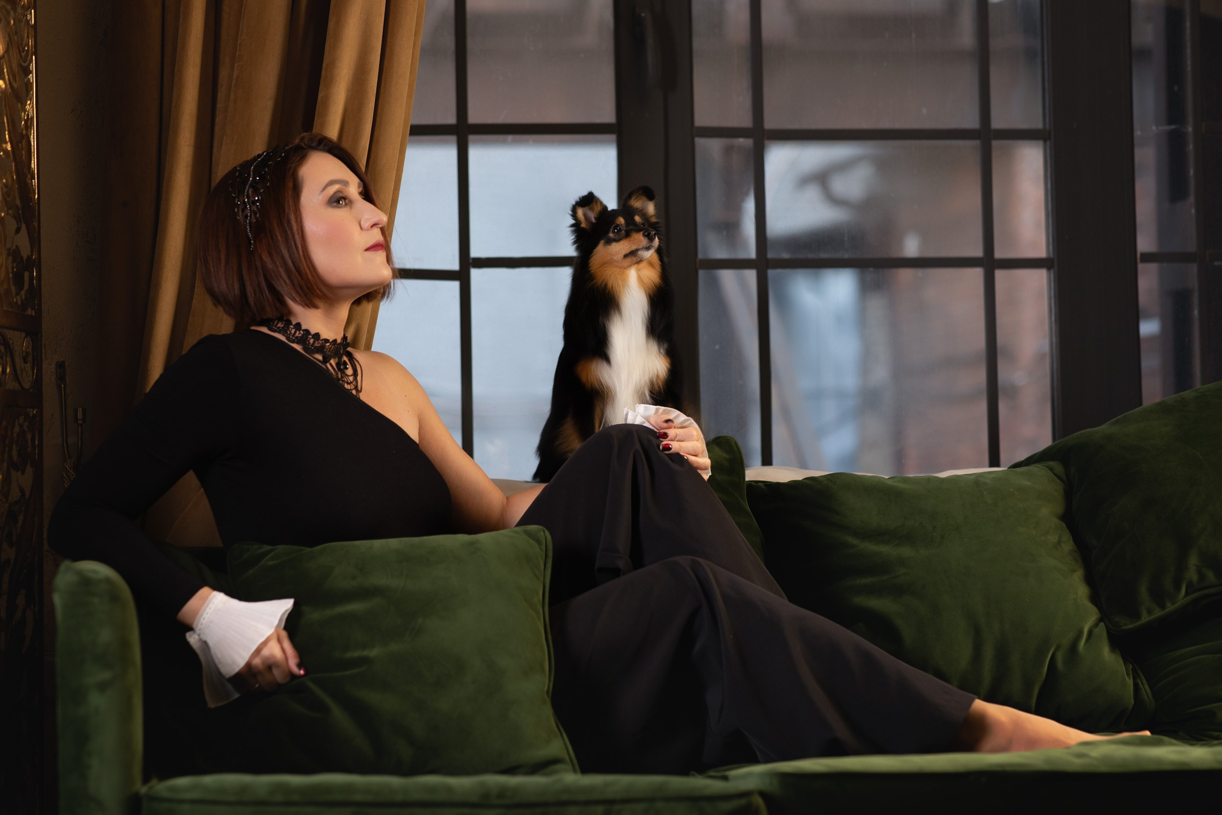 Съемка с собакой в студии Москва. Фотограф-анималист в Москве и Московской области Татьяна Фролова