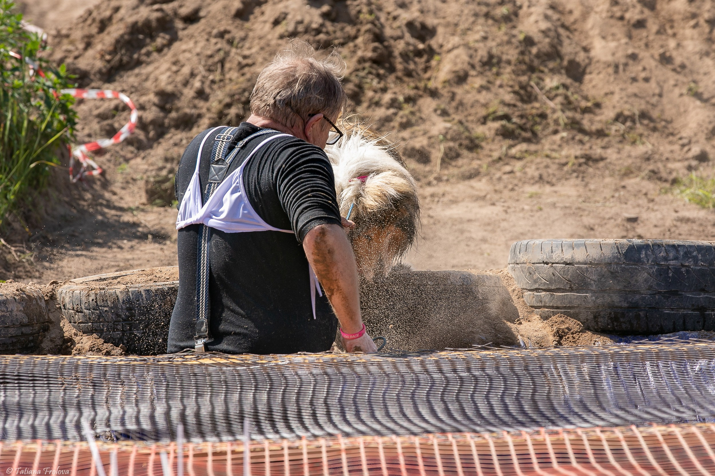 Фоторепортаж с забега с собаками. Фотограф-анималист в Москве и Московской области Татьяна Фролова
