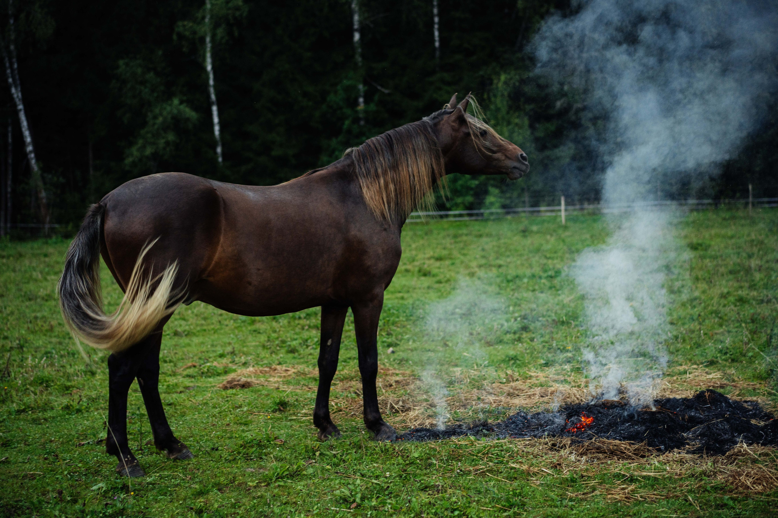 Семейный фотограф Клубкова Мария. Поместье Клу