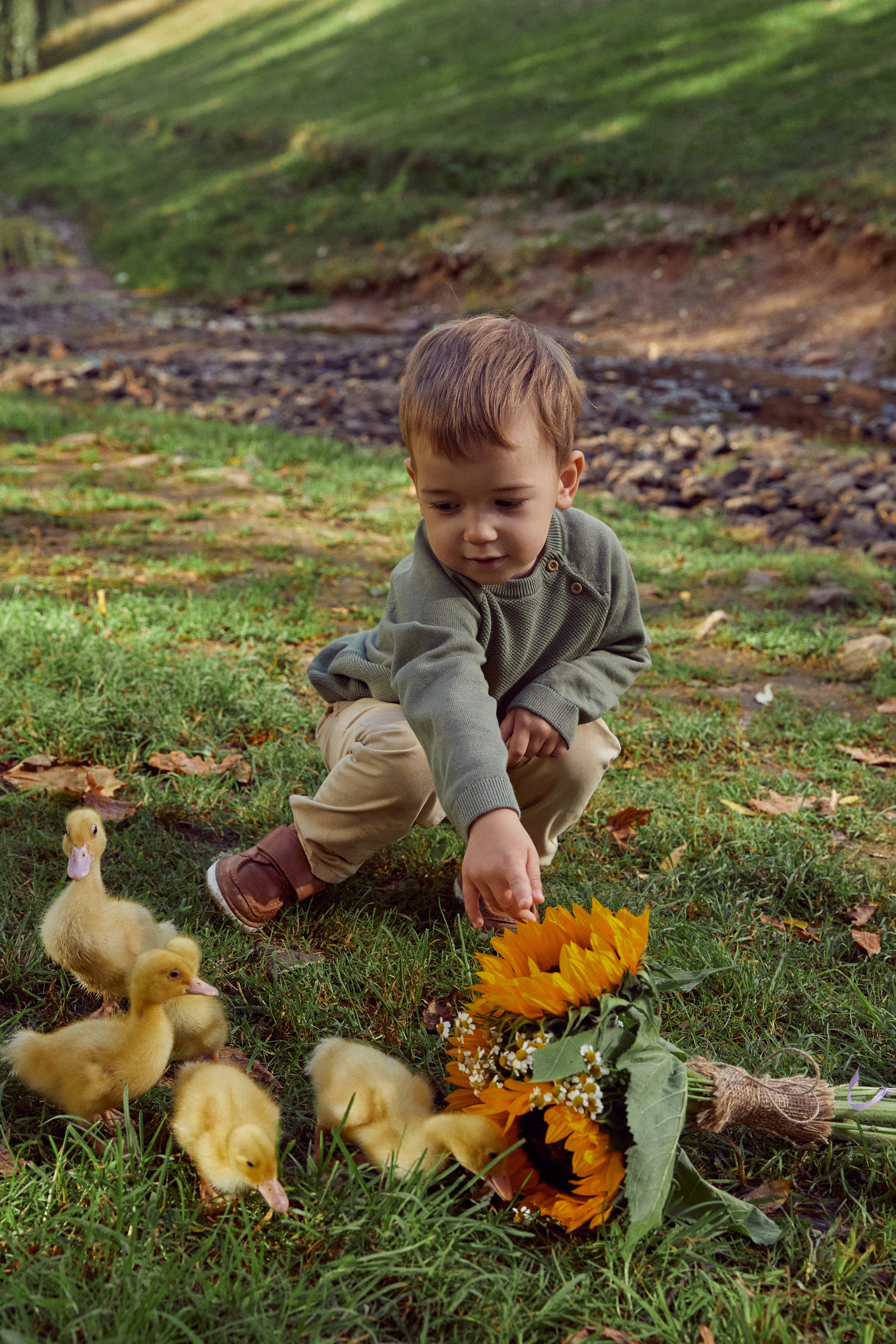 Фотодень с утятами (пруд). Фотограф