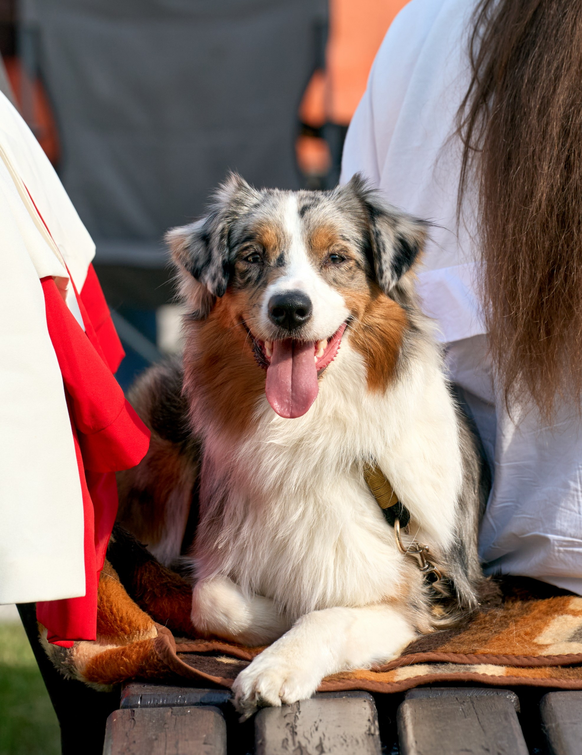 Съемка на выставке Ясенево