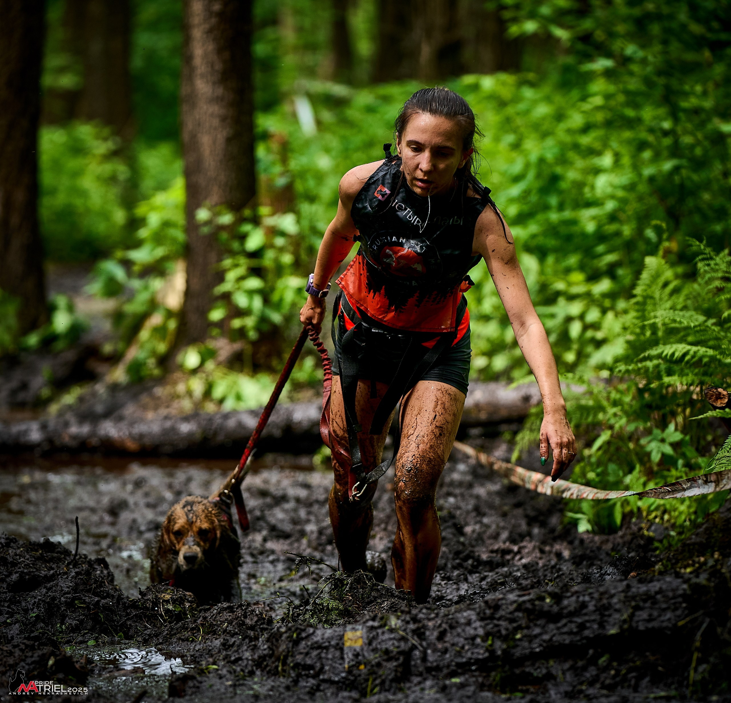 Russian Extreme Dog Trail — 2025