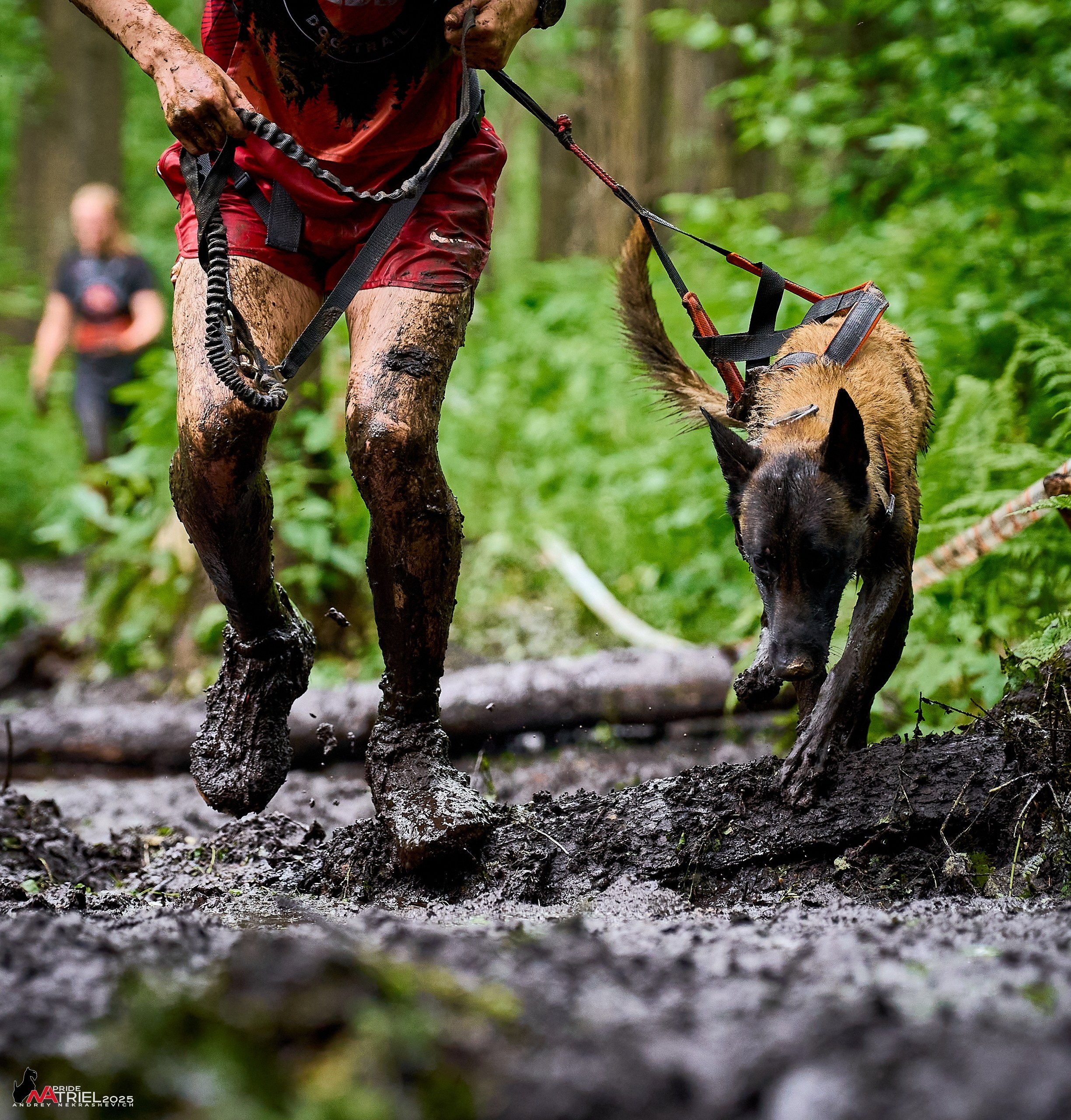 Russian Extreme Dog Trail — 2025