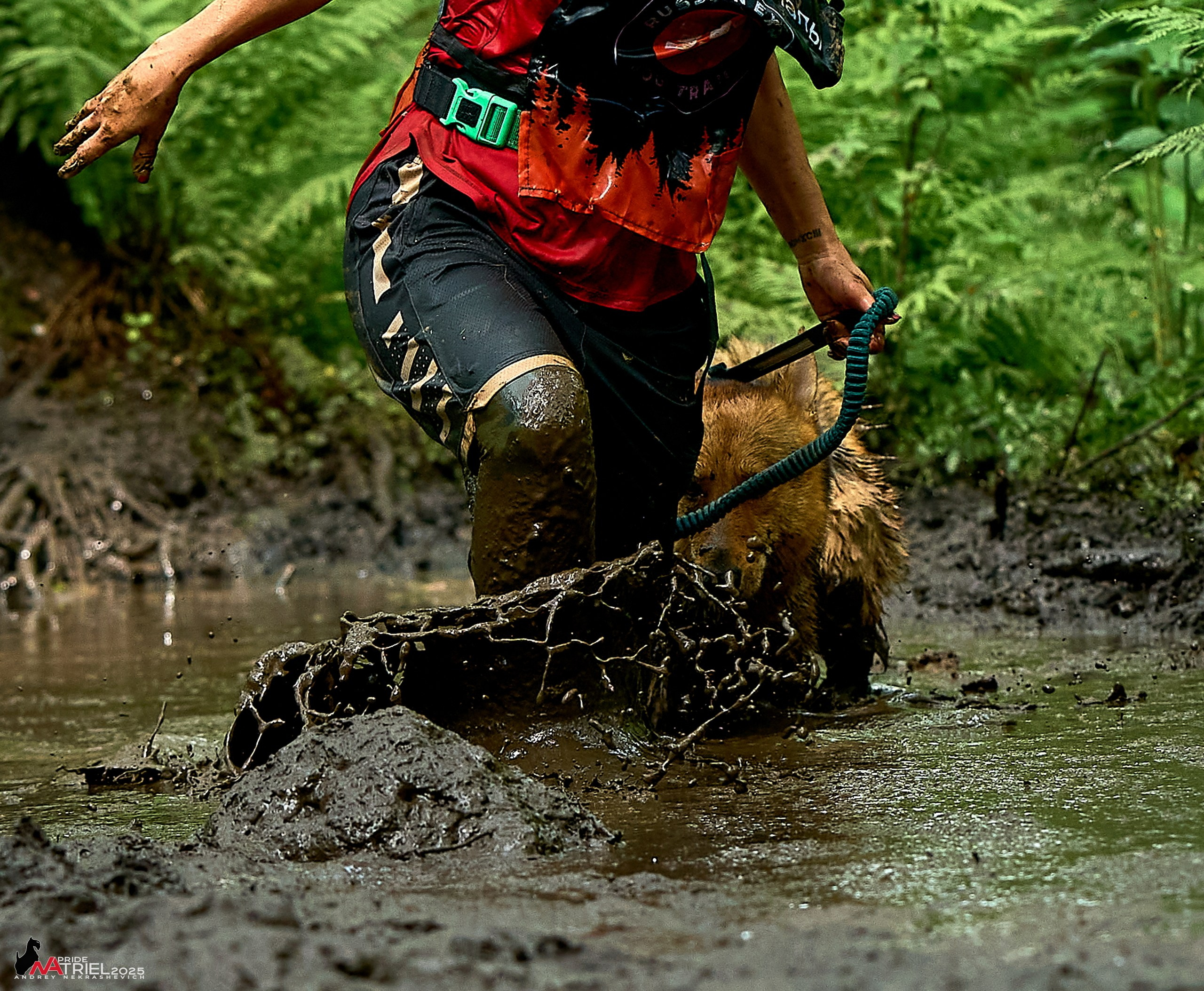 Russian Extreme Dog Trail — 2025