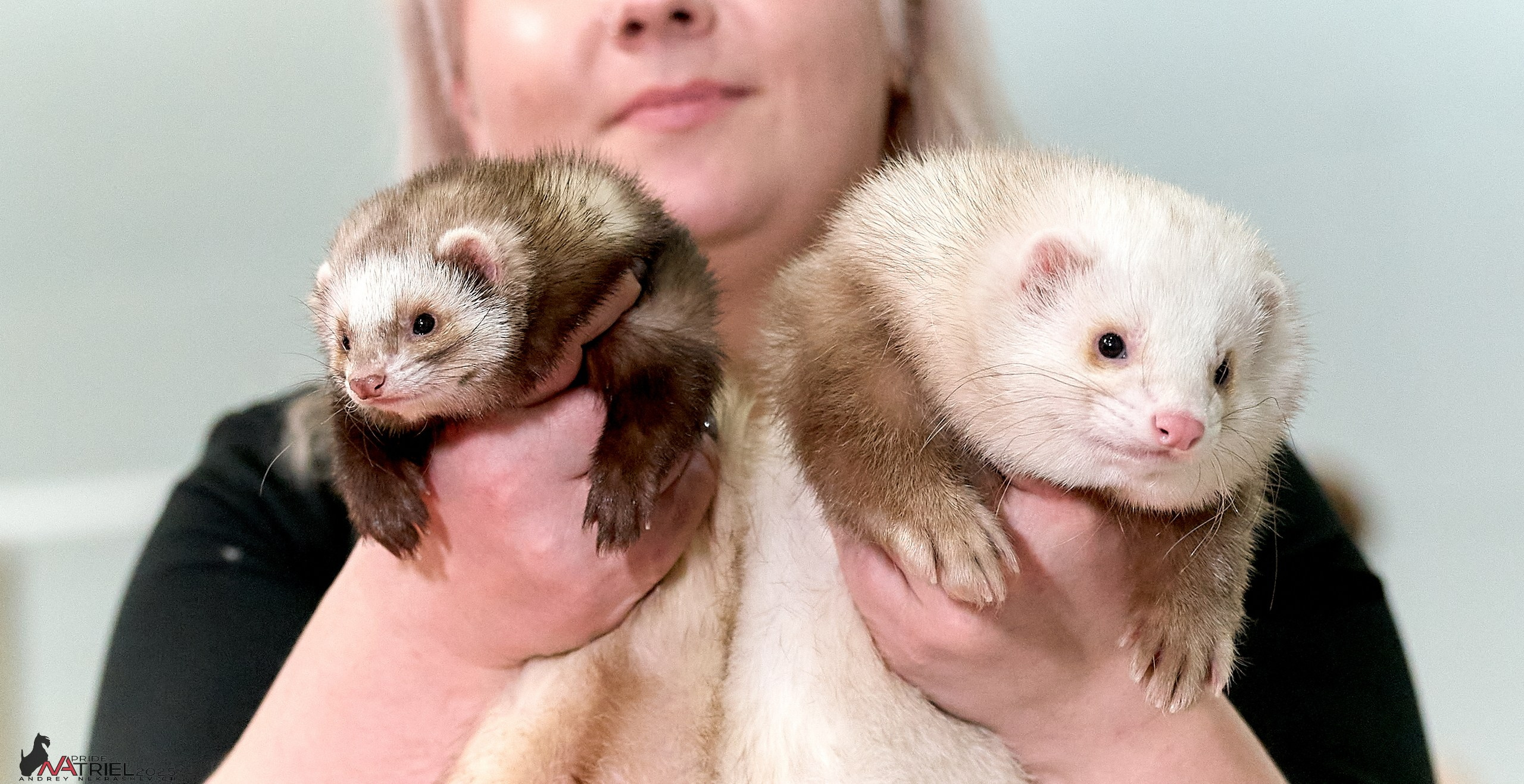 Репортаж с ЗООФЕСТ в Крокусе