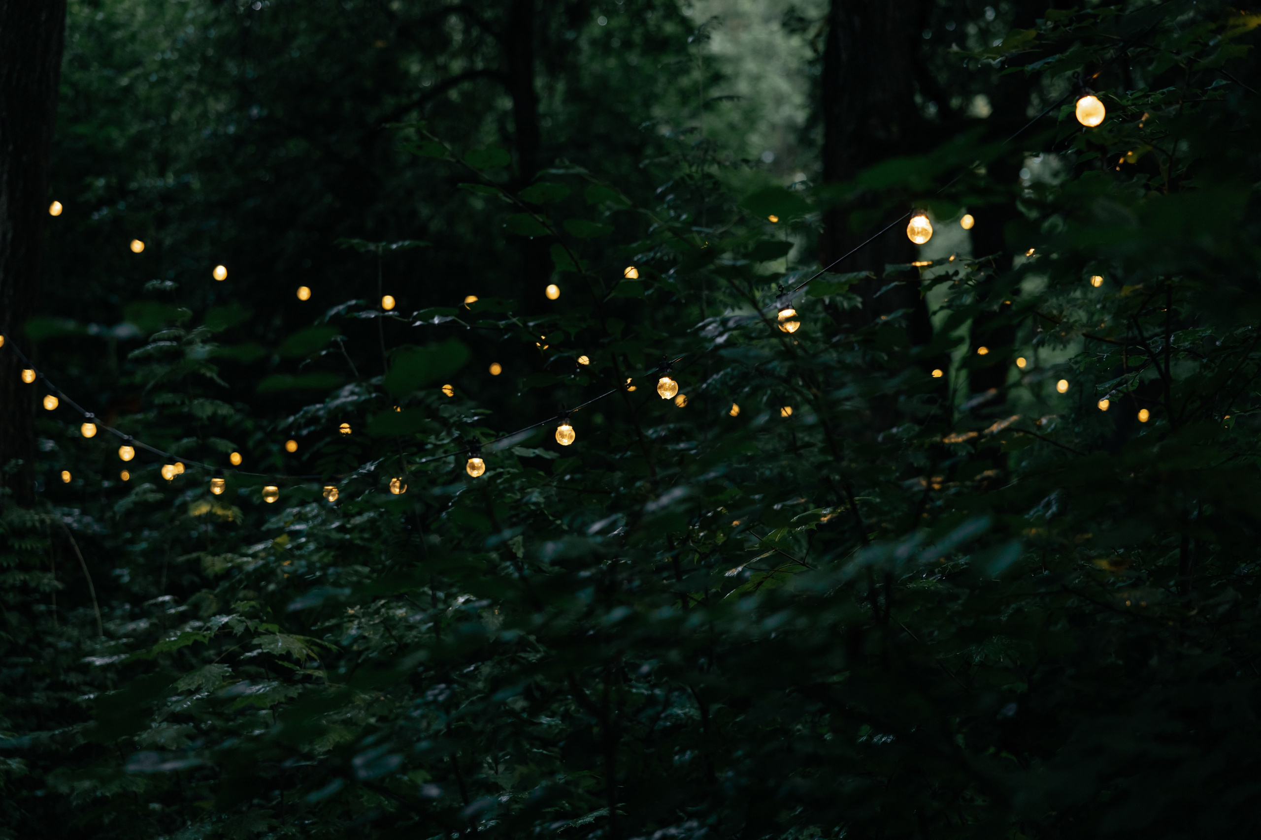 Максим и Саша. Свадебный фотограф в Москве Артём Кившарь