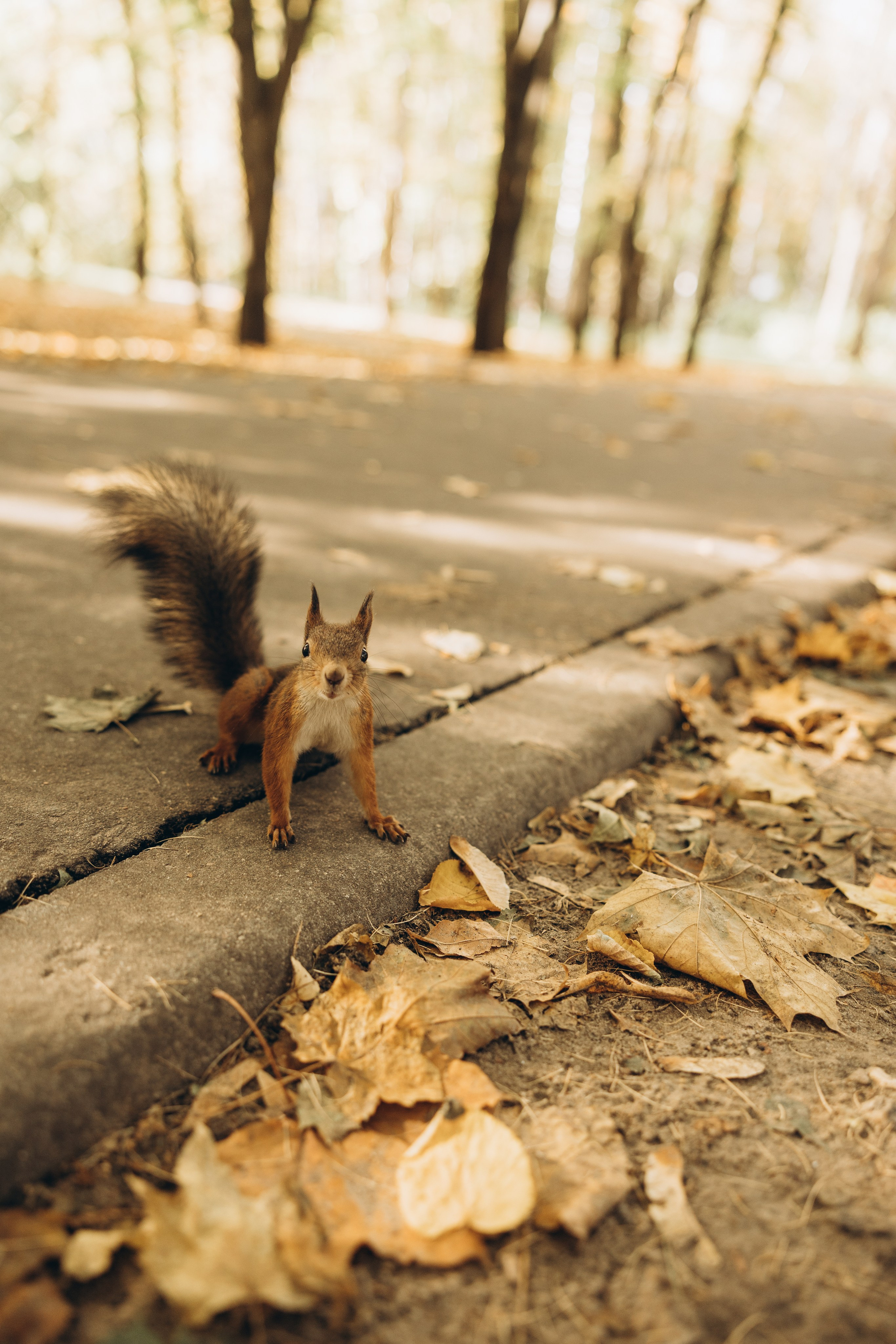 Оля. Семейный фотограф в Москве Виктория Ястребинская