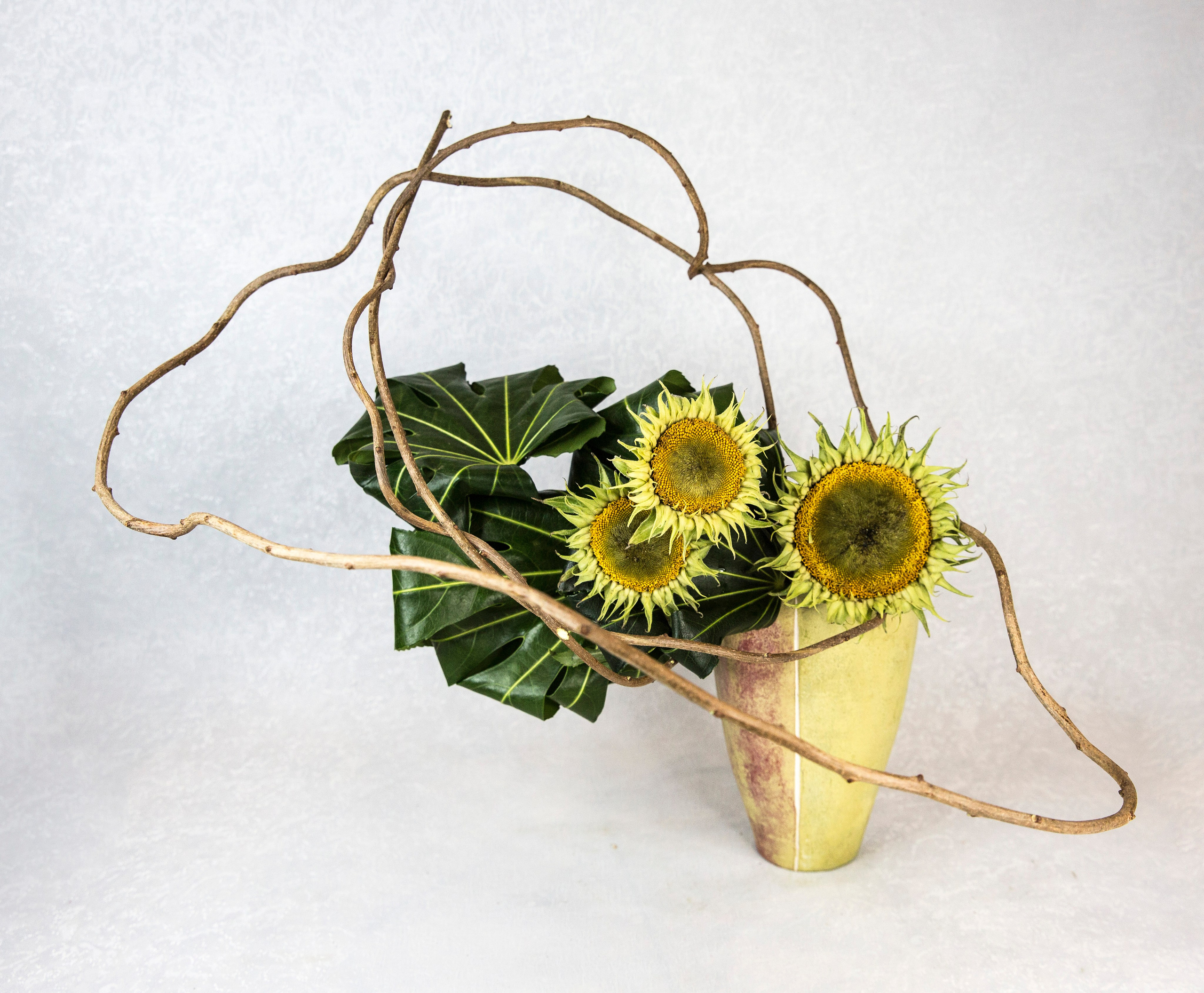 Икэбана Барне. Фотограф Анна Барне