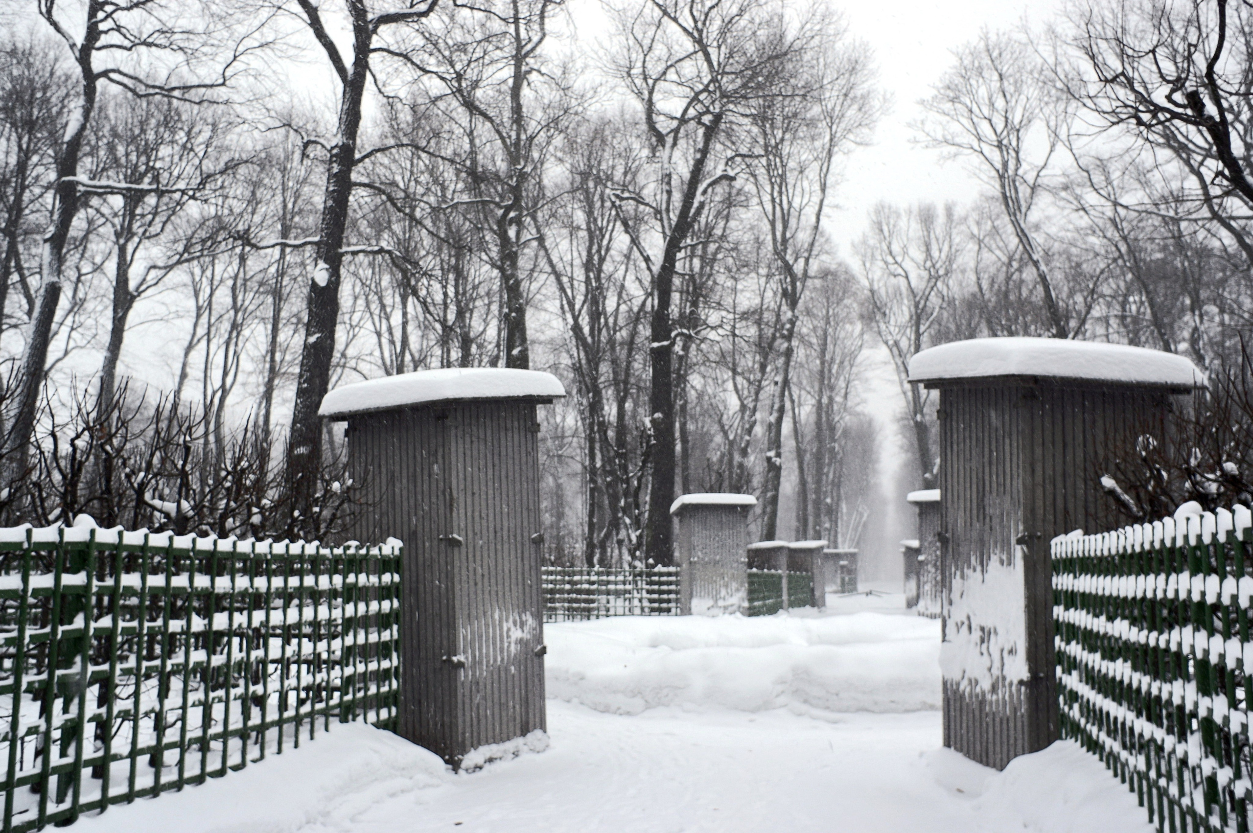 Летний сад зи