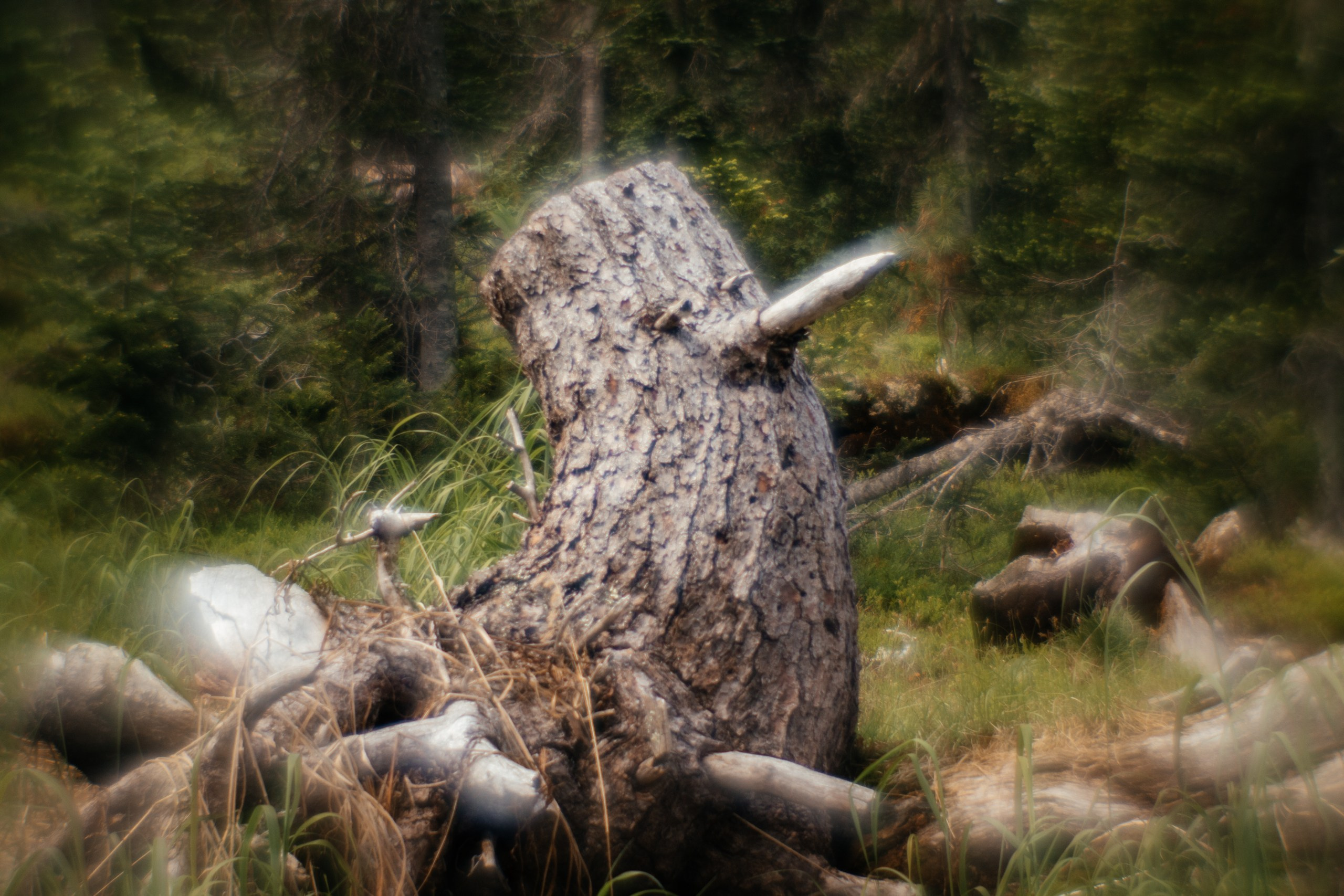 Ловец снов. Фотограф в Красноярске Оксана Корчагина