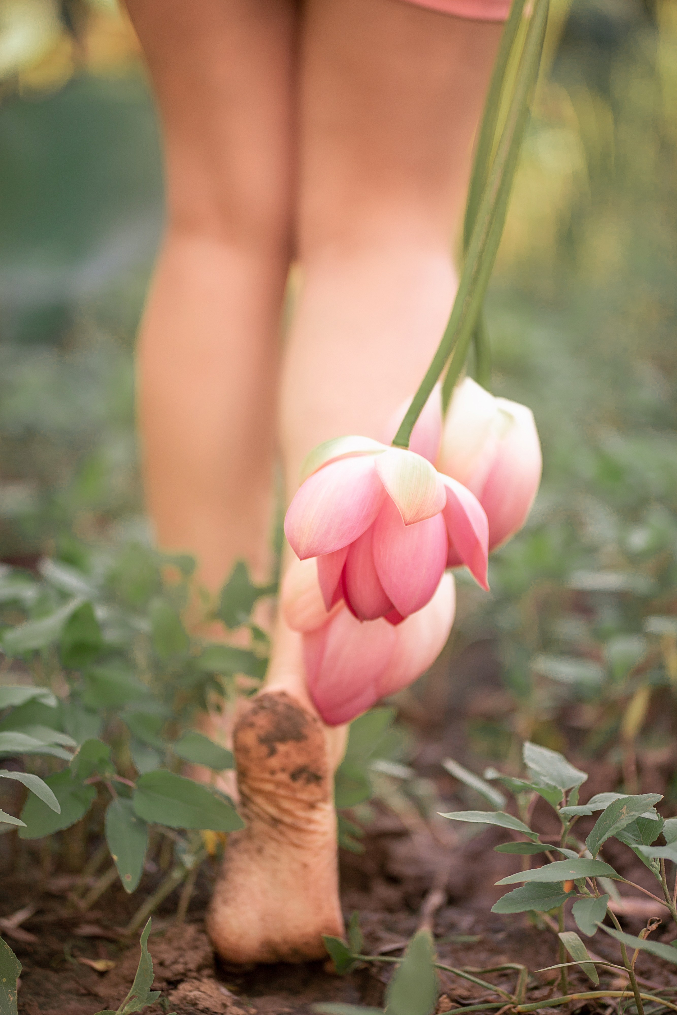 Лотосы. Свадебный фотограф в Астрахани. Фототуры по Астрахани и в горы Кавказа