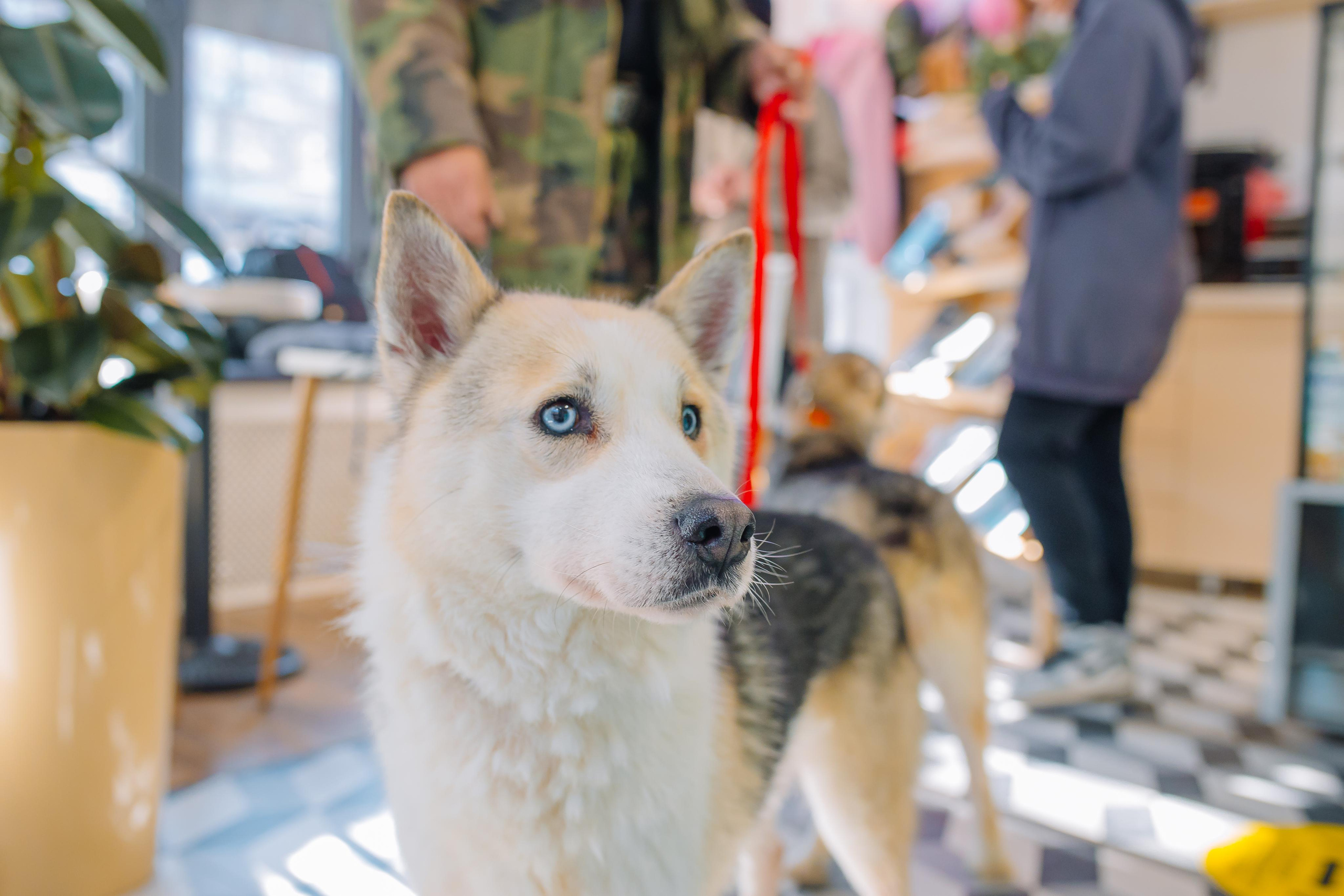 Репортаж. Свадебный и семейный фотограф в Алматы Laura Dosmann
