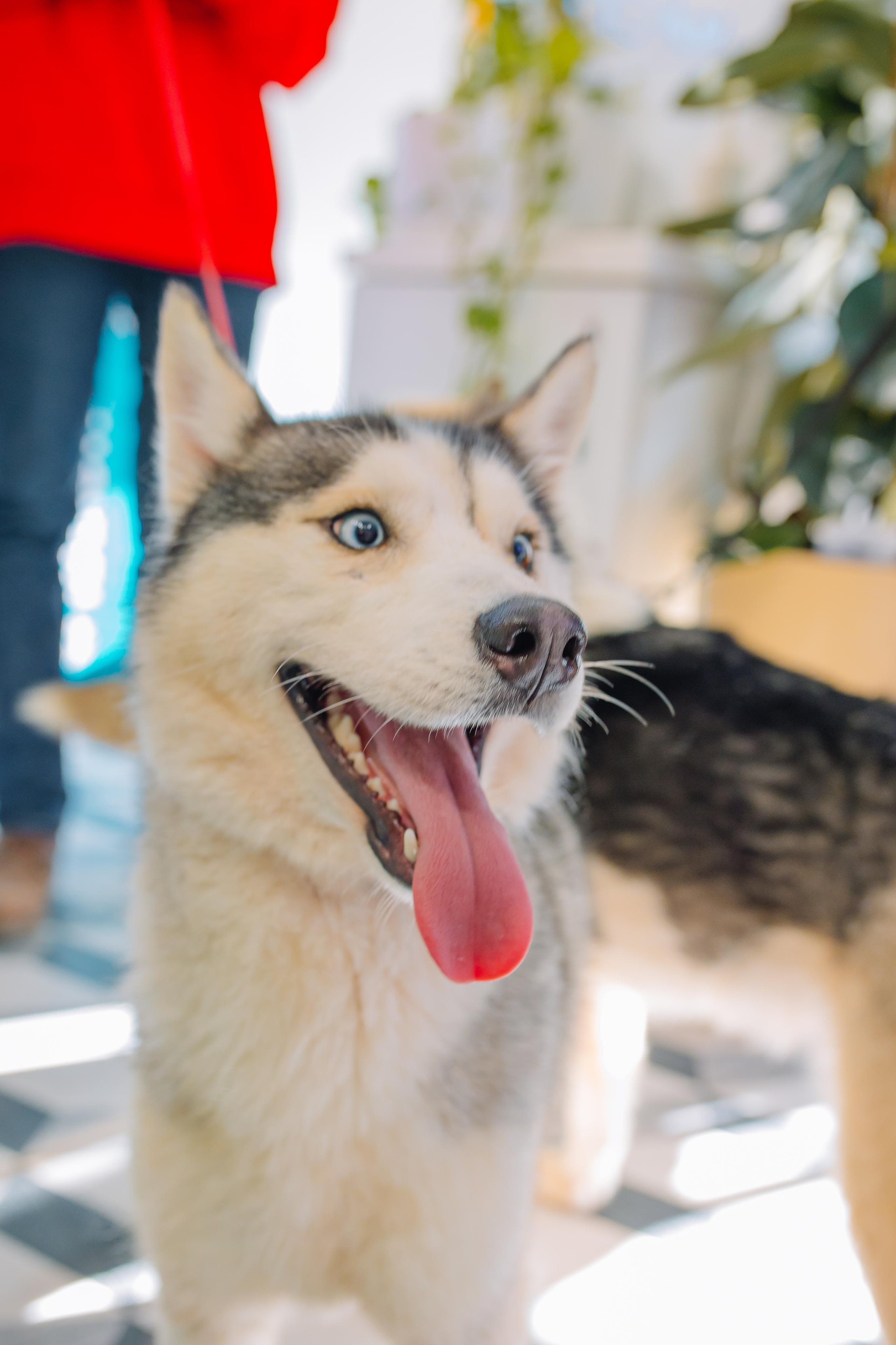 Репортаж. Свадебный и семейный фотограф в Алматы Laura Dosmann