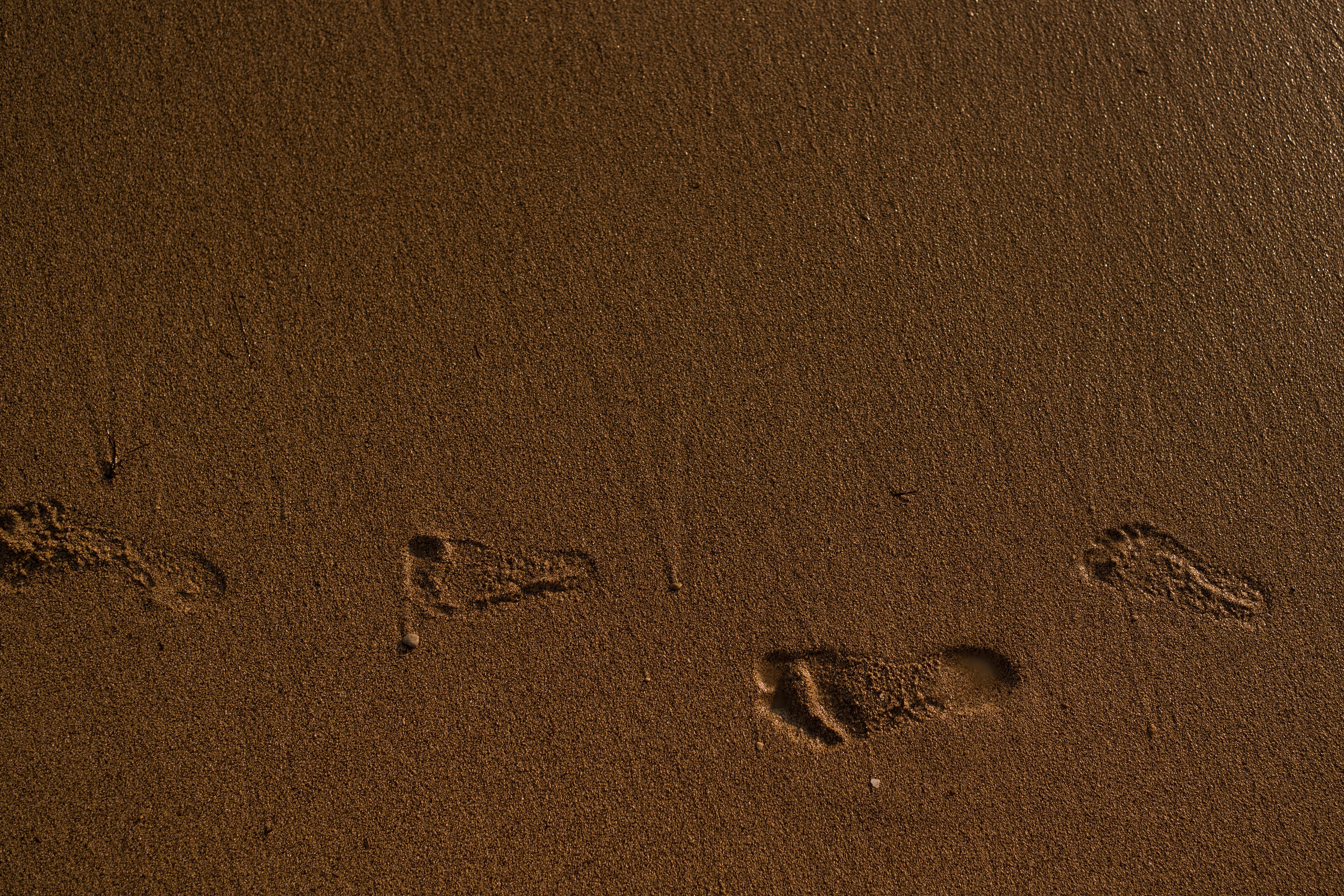 Смотри, медуза. Свадебный фотограф в Краснодаре и Сочи Винидиктова Екатерина