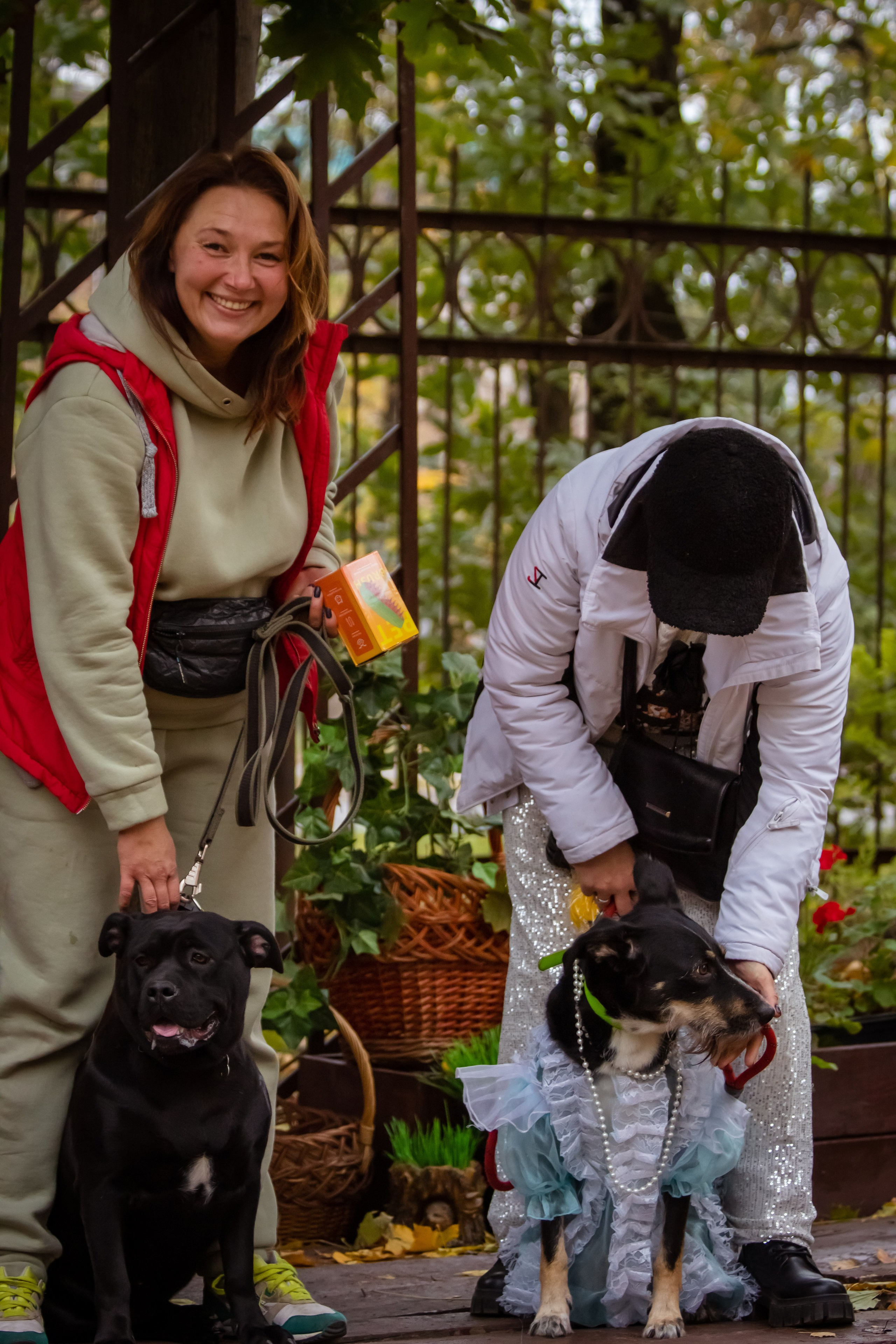 Костюмированный парад собак. Фотограф анималист — Тула, Москва