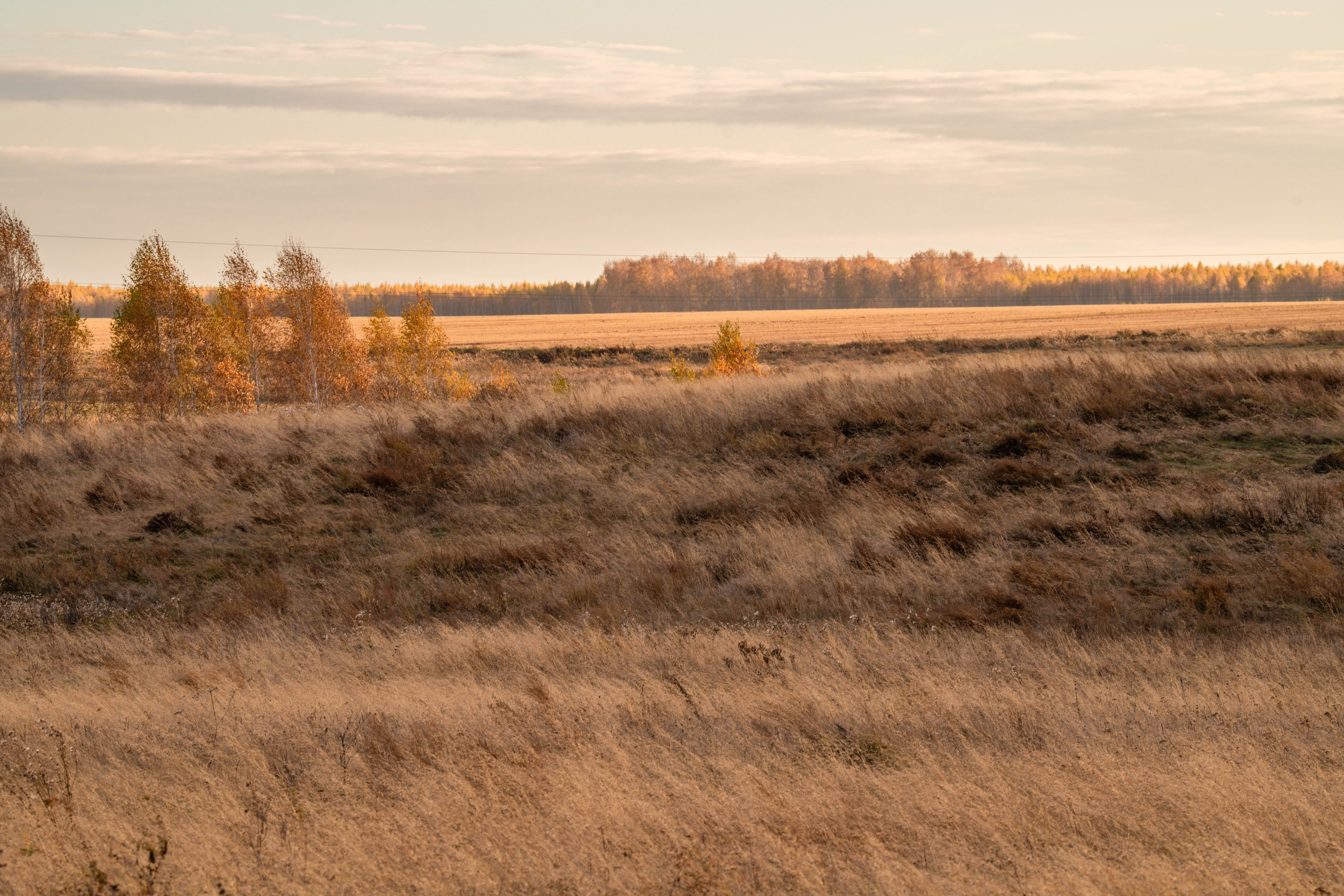 Курганская область. Daria wanderer photography