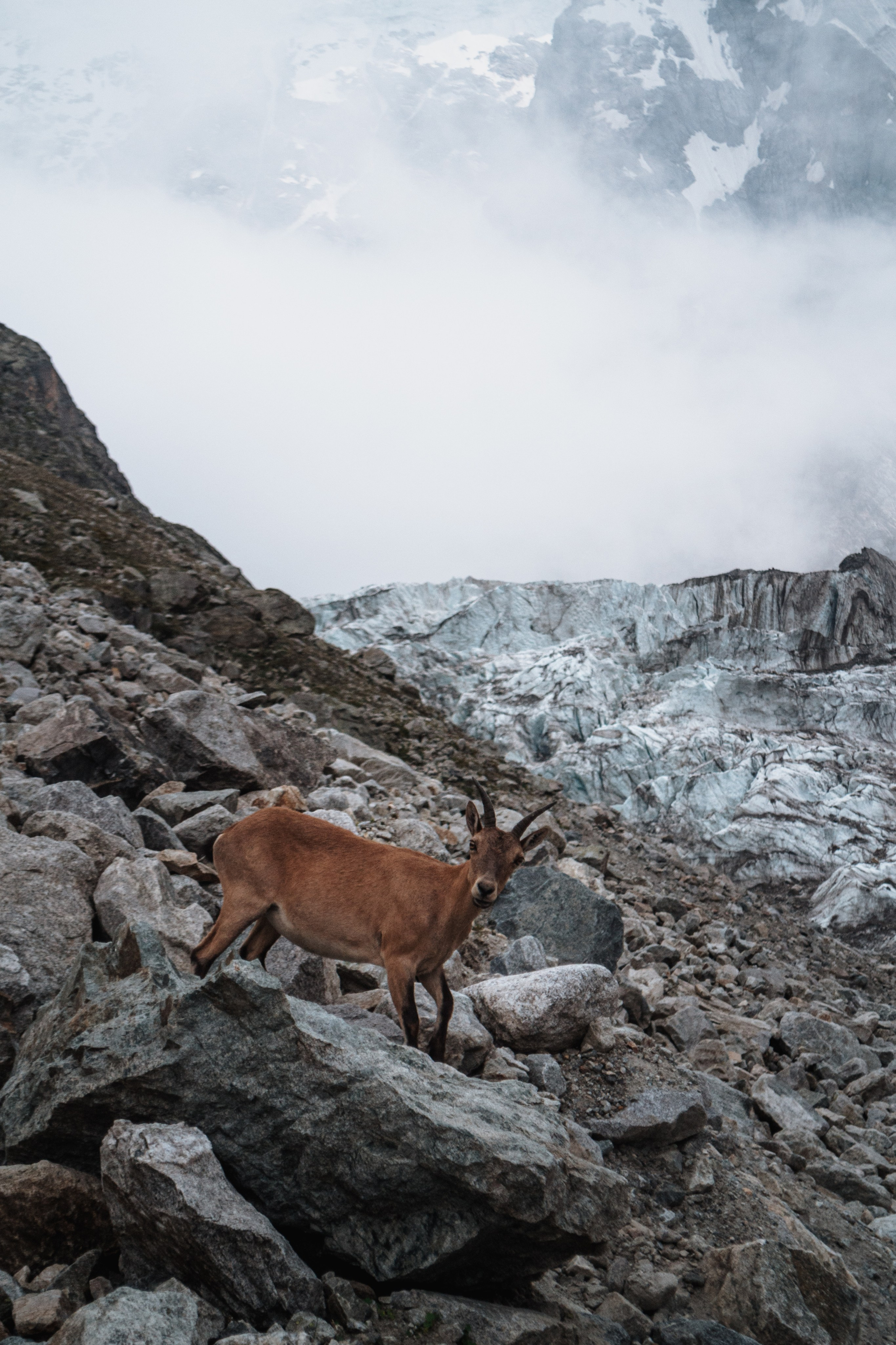 Безенги. Туры, путешествия, восхождения