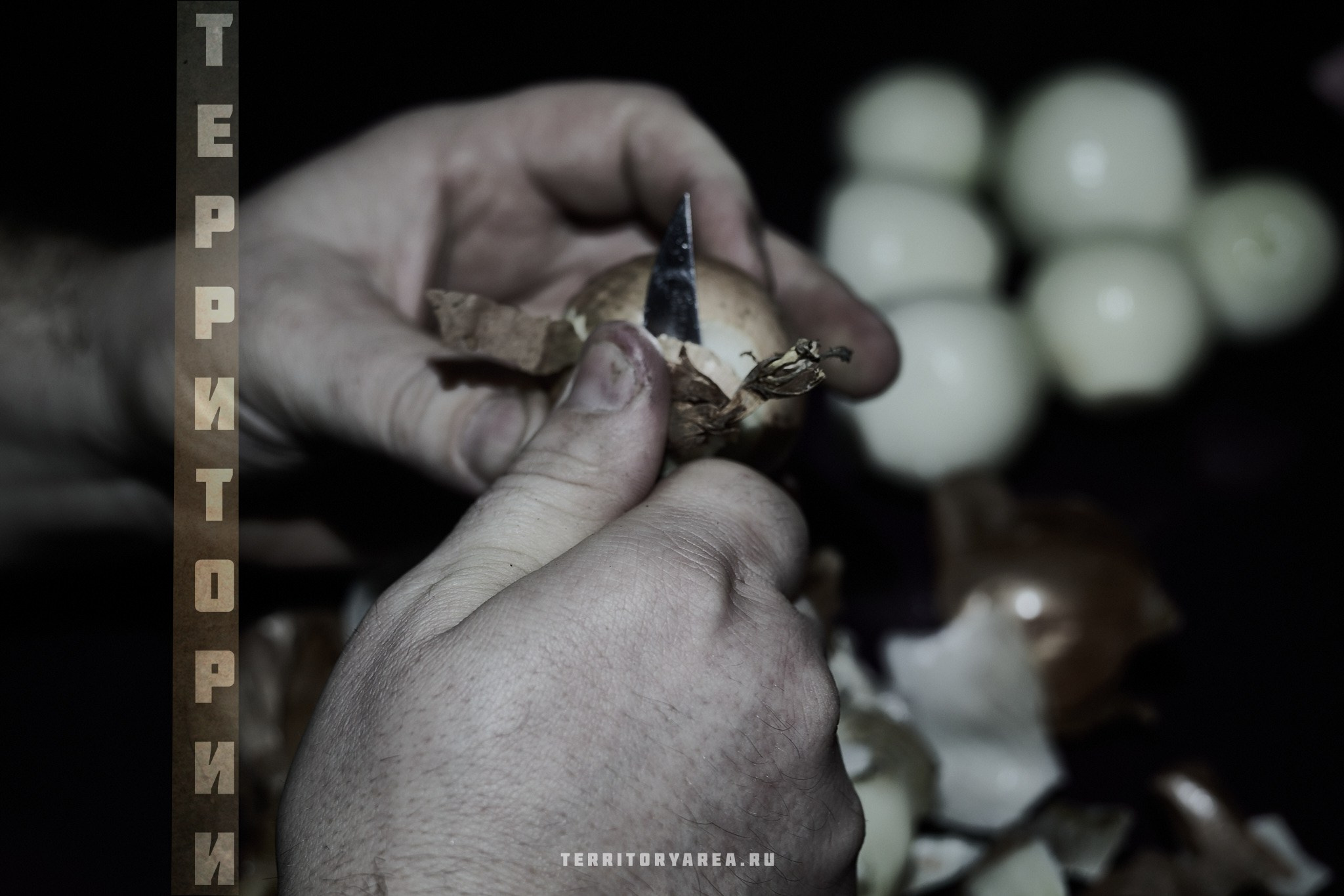 Открытки фотопроекта «Территории». Фотопроект «Территории»