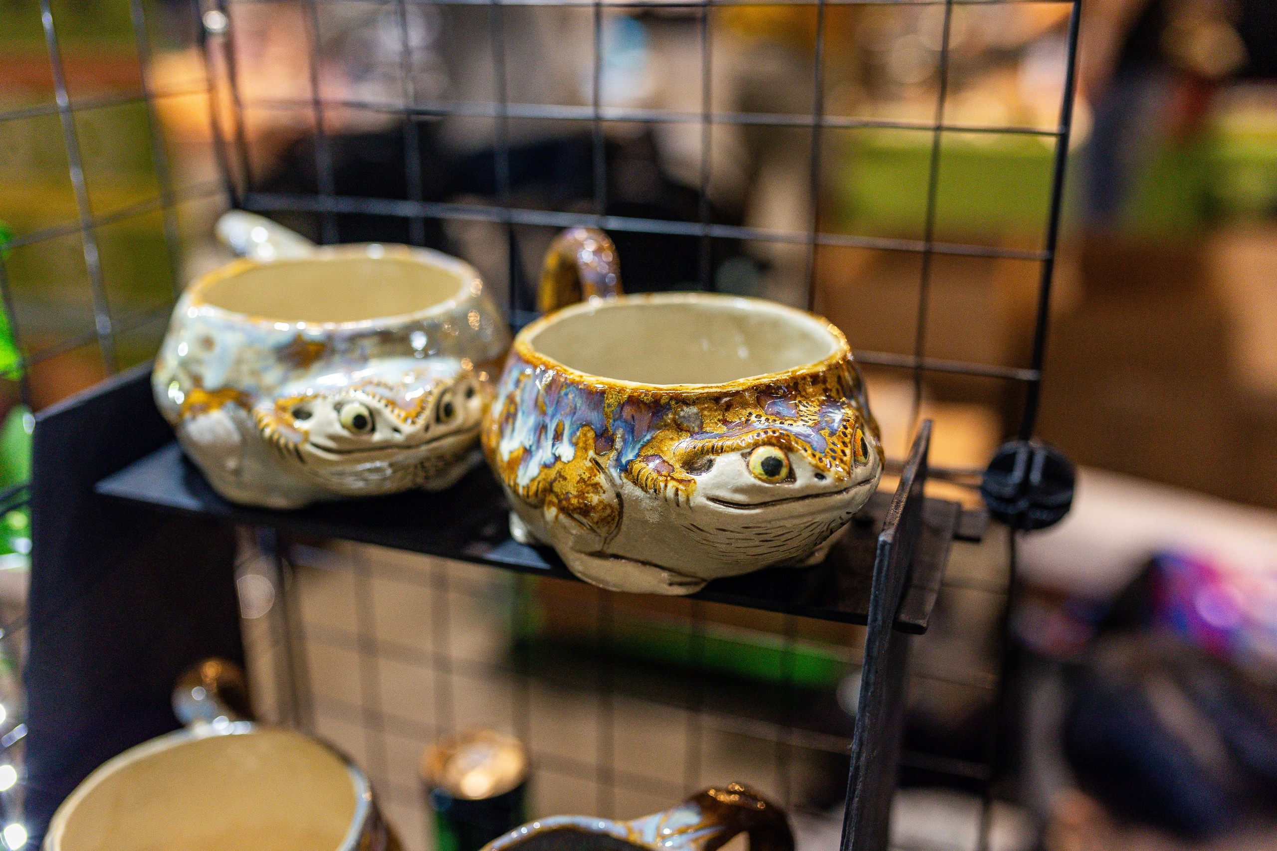 Рептилиум июнь 2025. Александра Куликова фотограф, Москва