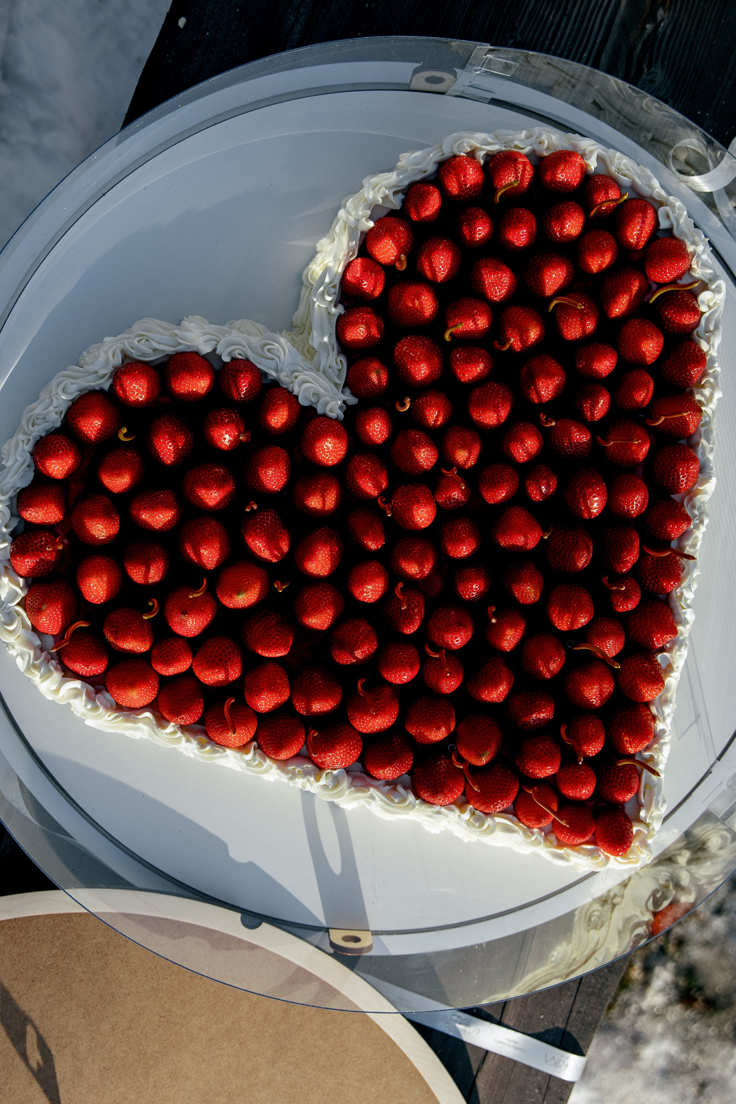 ДЕНЬ ДОЖДЕНИЯ ЕКАТЕРИНЫ. Фотограф в Красноярске